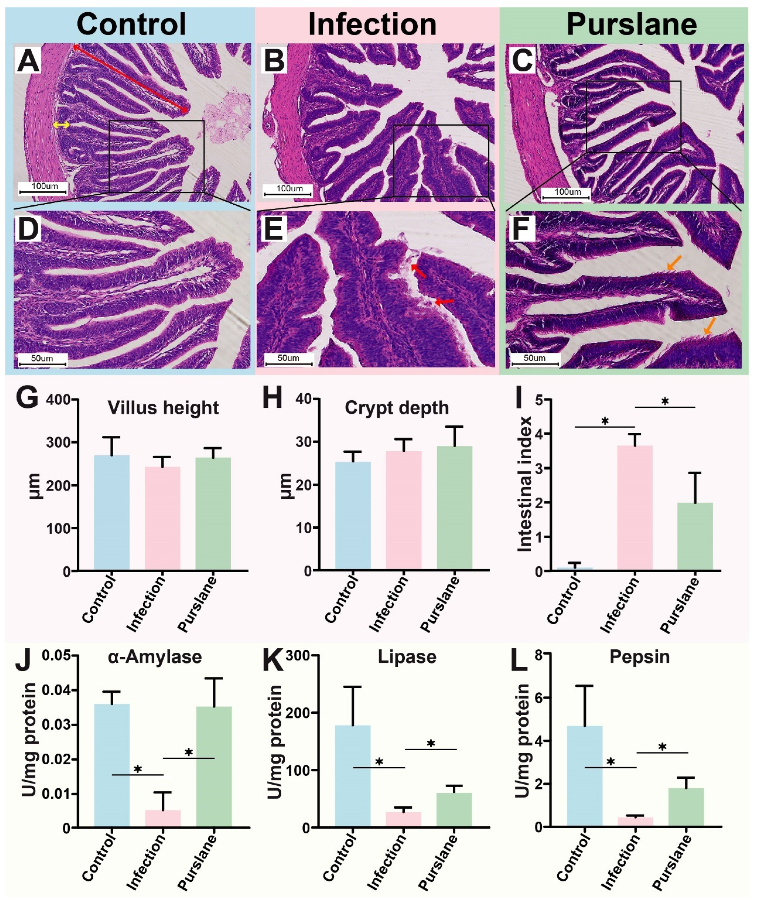 Ijms 24 10260 g002 Ijms 24 10260 g002
