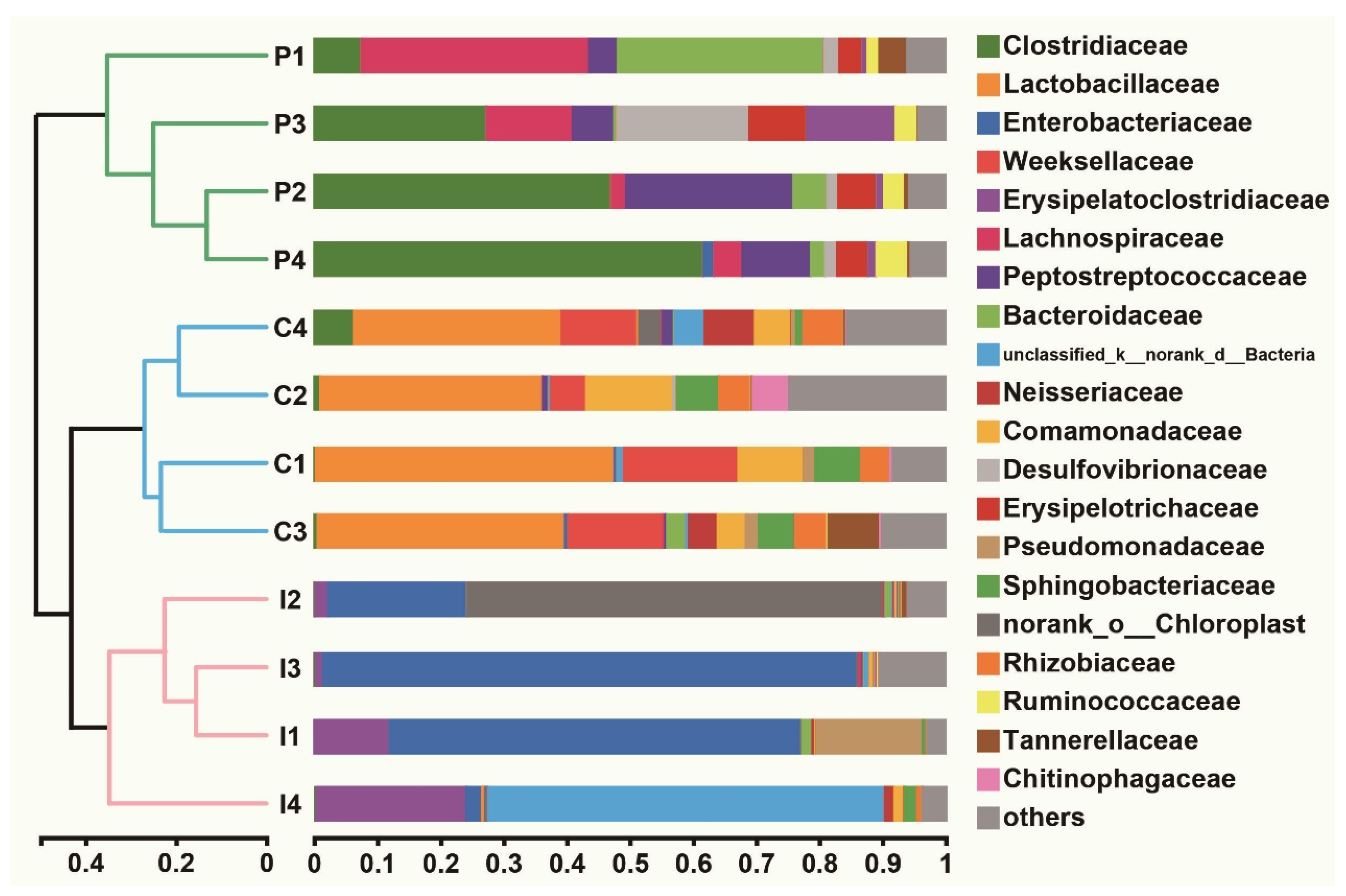 Ijms 24 10260 g005 Ijms 24 10260 g005