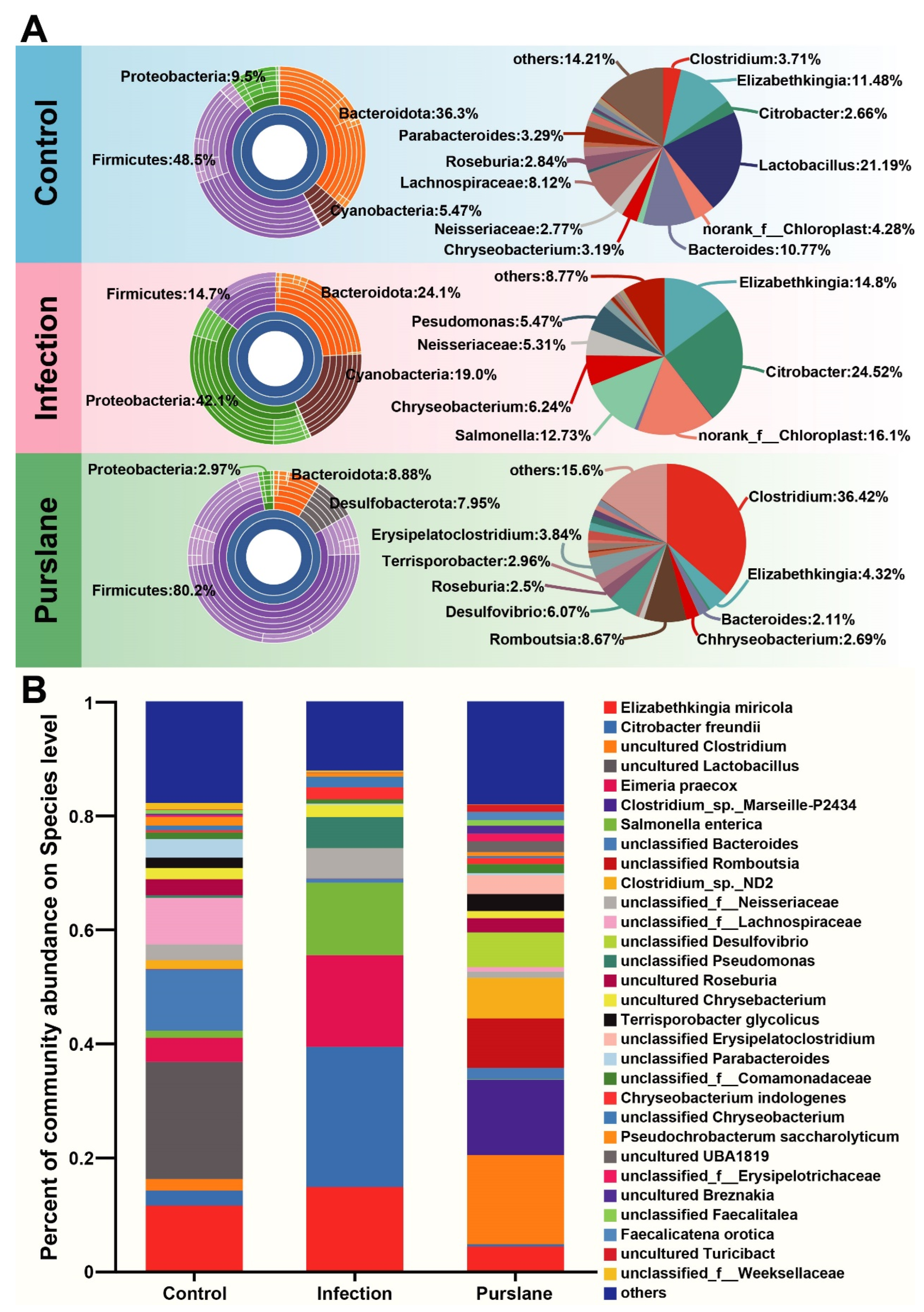 Ijms 24 10260 g006 Ijms 24 10260 g006