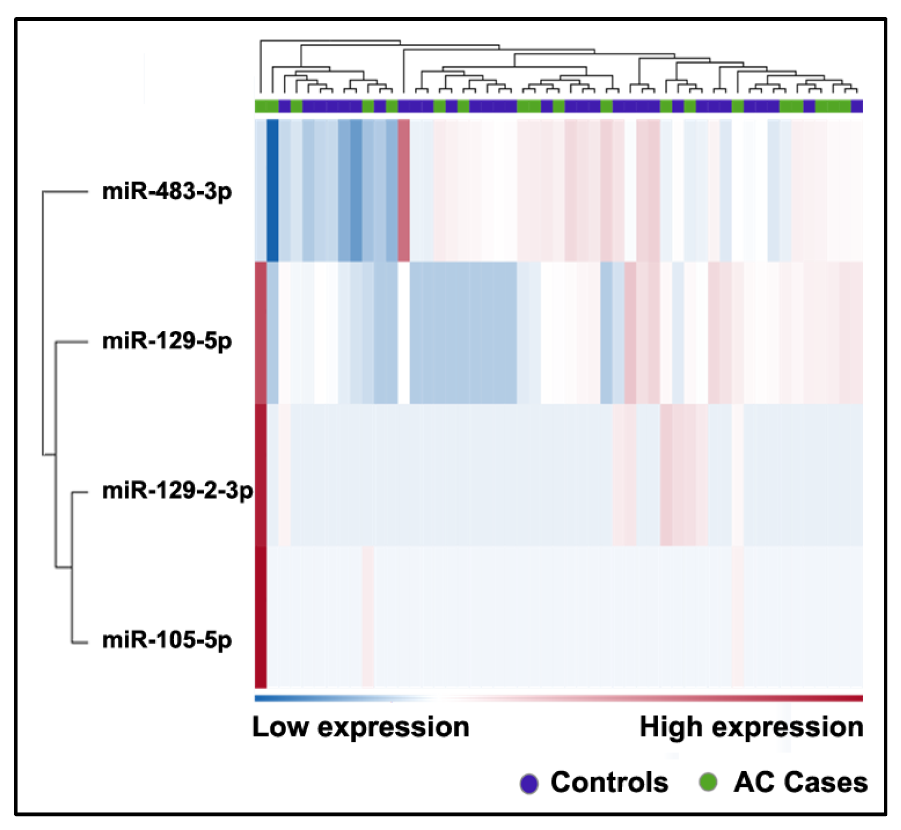 Ijms 24 10277 g005 Ijms 24 10277 g005