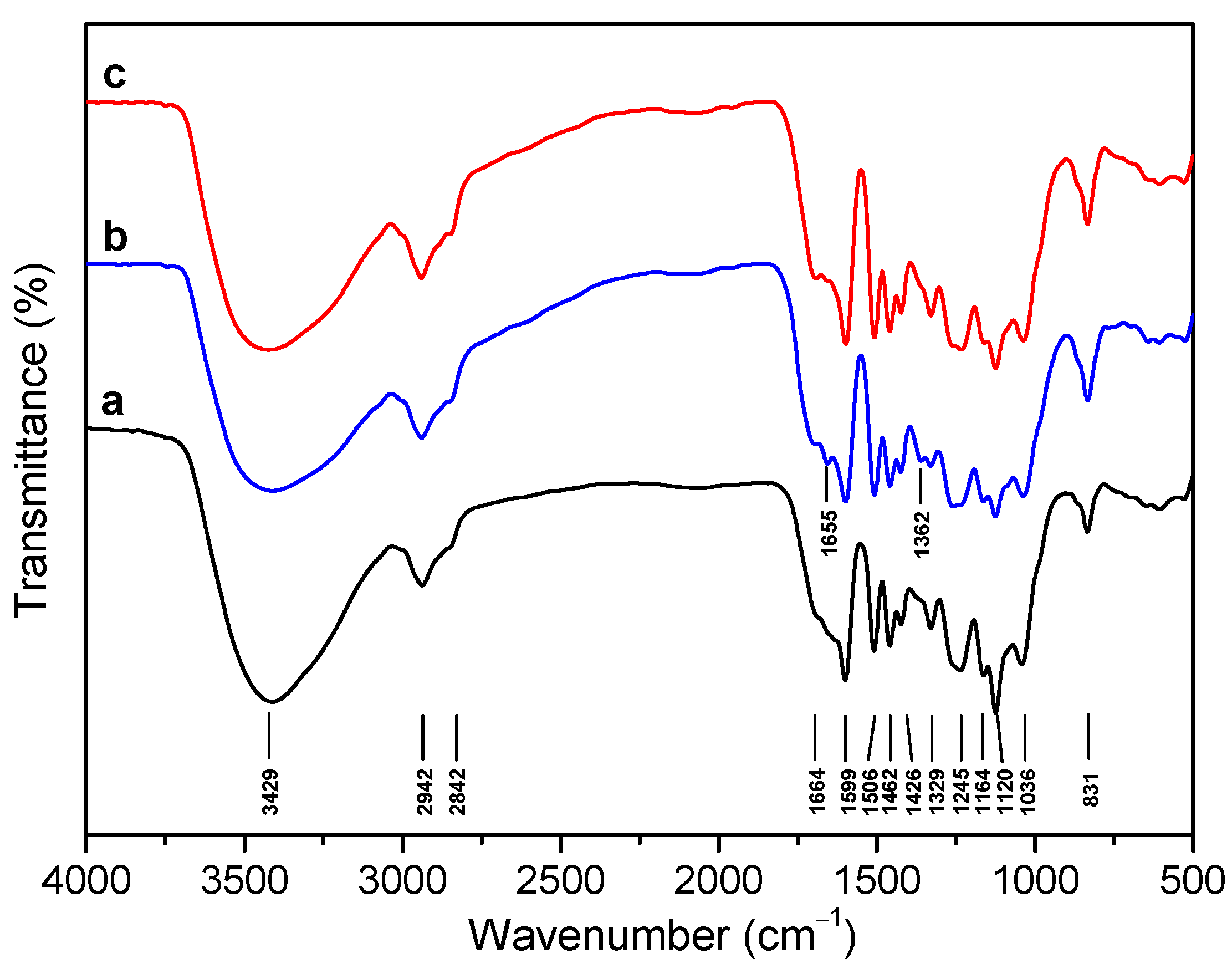Ijms 24 10304 g001 Ijms 24 10304 g001