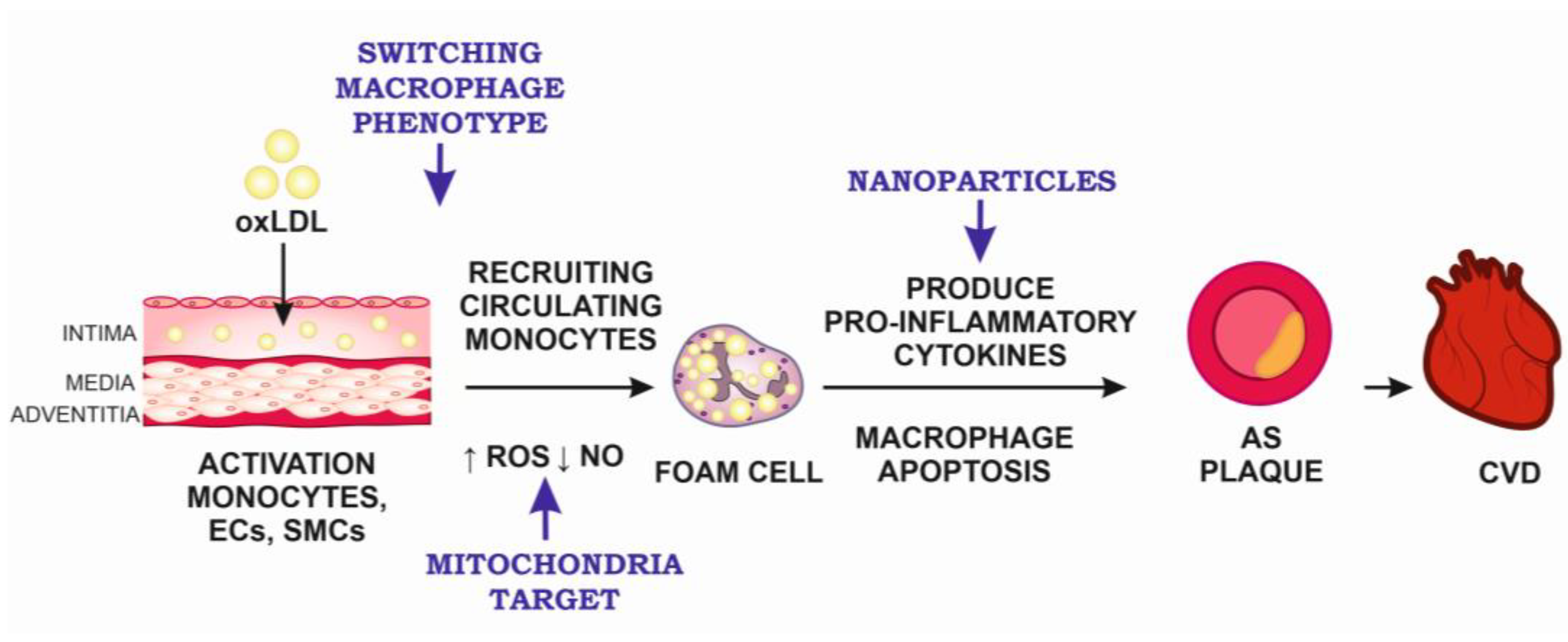Ijms 24 10308 g001 Ijms 24 10308 g001