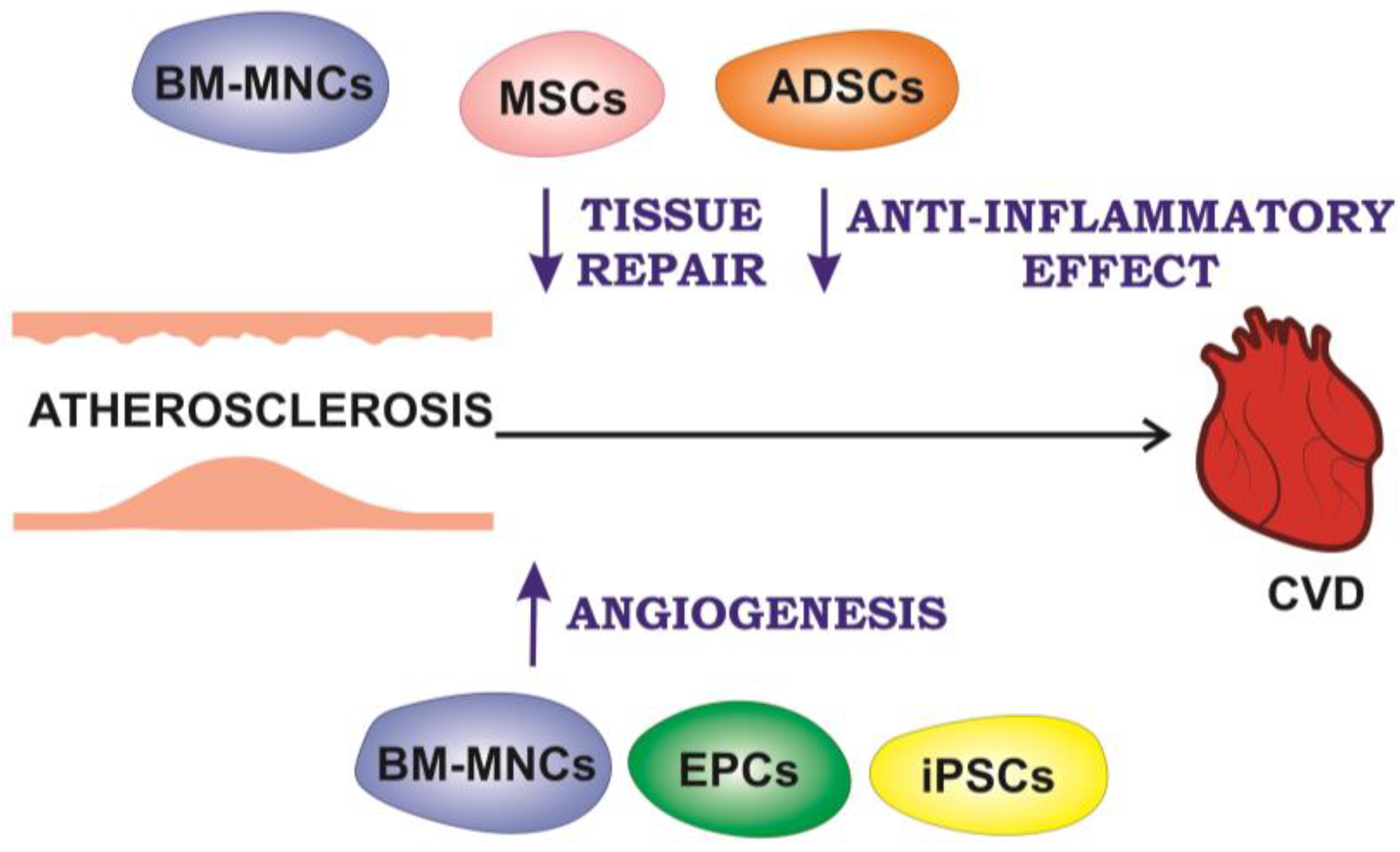 Ijms 24 10308 g002 Ijms 24 10308 g002