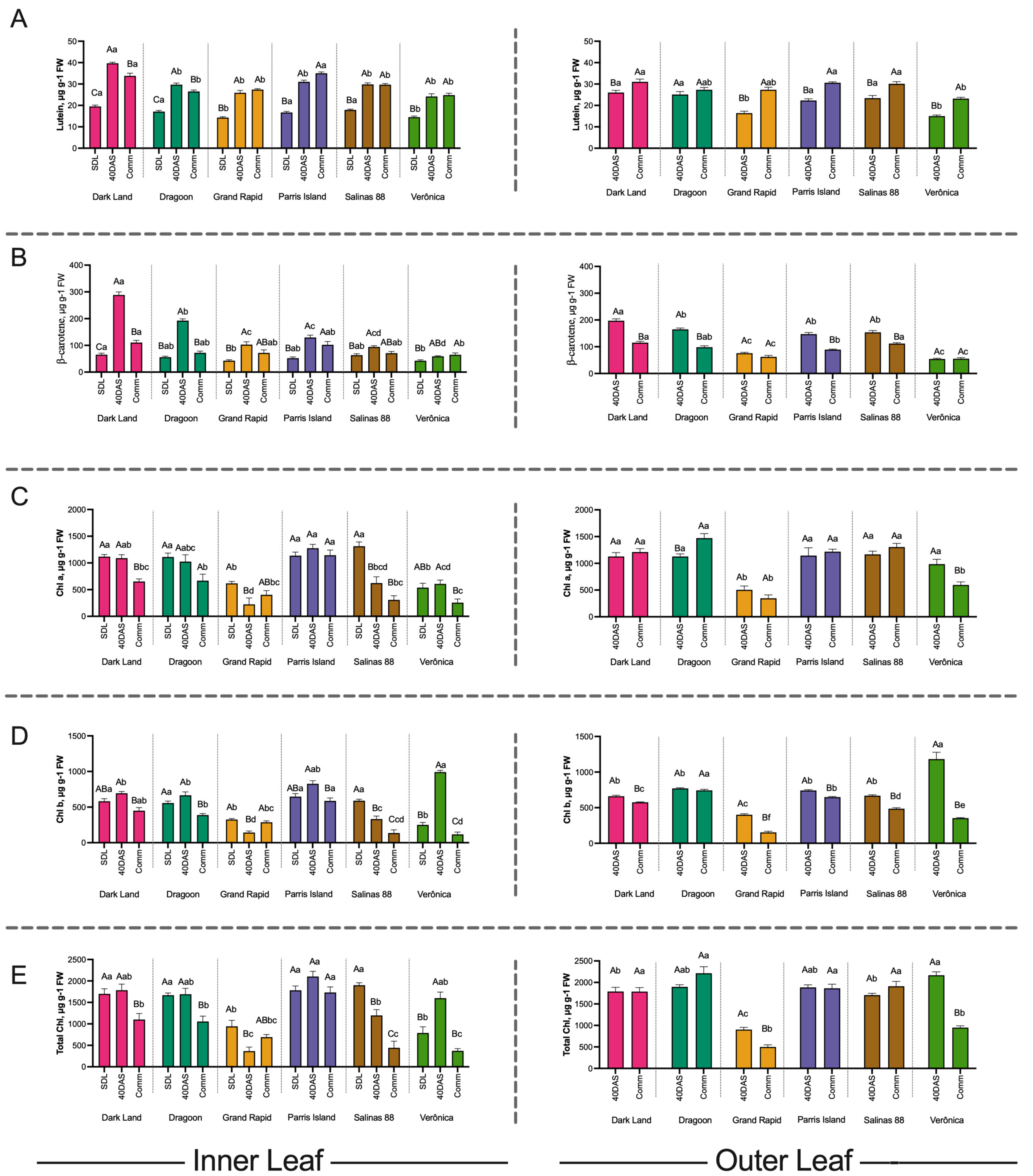 Ijms 24 10310 g002 Ijms 24 10310 g002