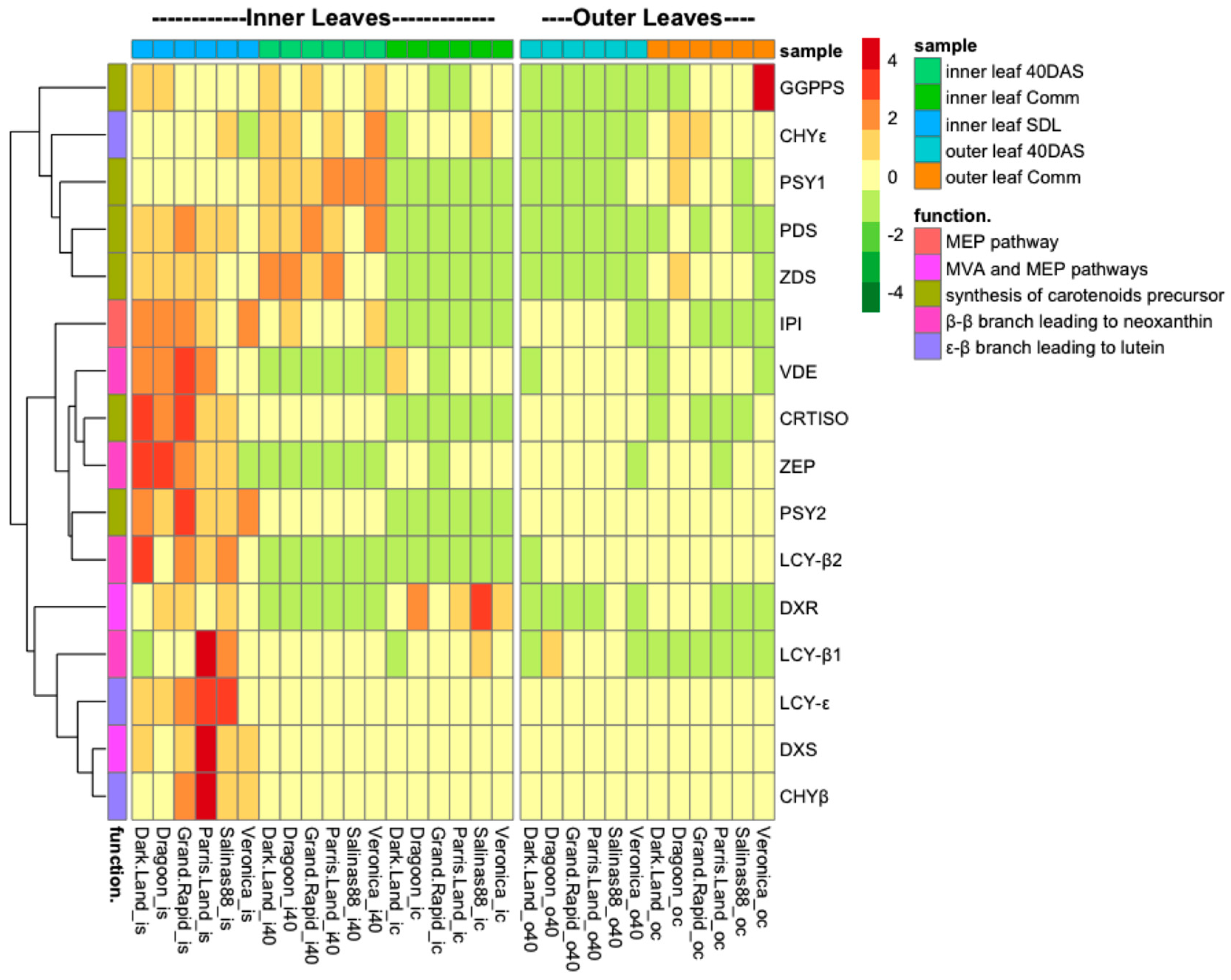 Ijms 24 10310 g004 Ijms 24 10310 g004