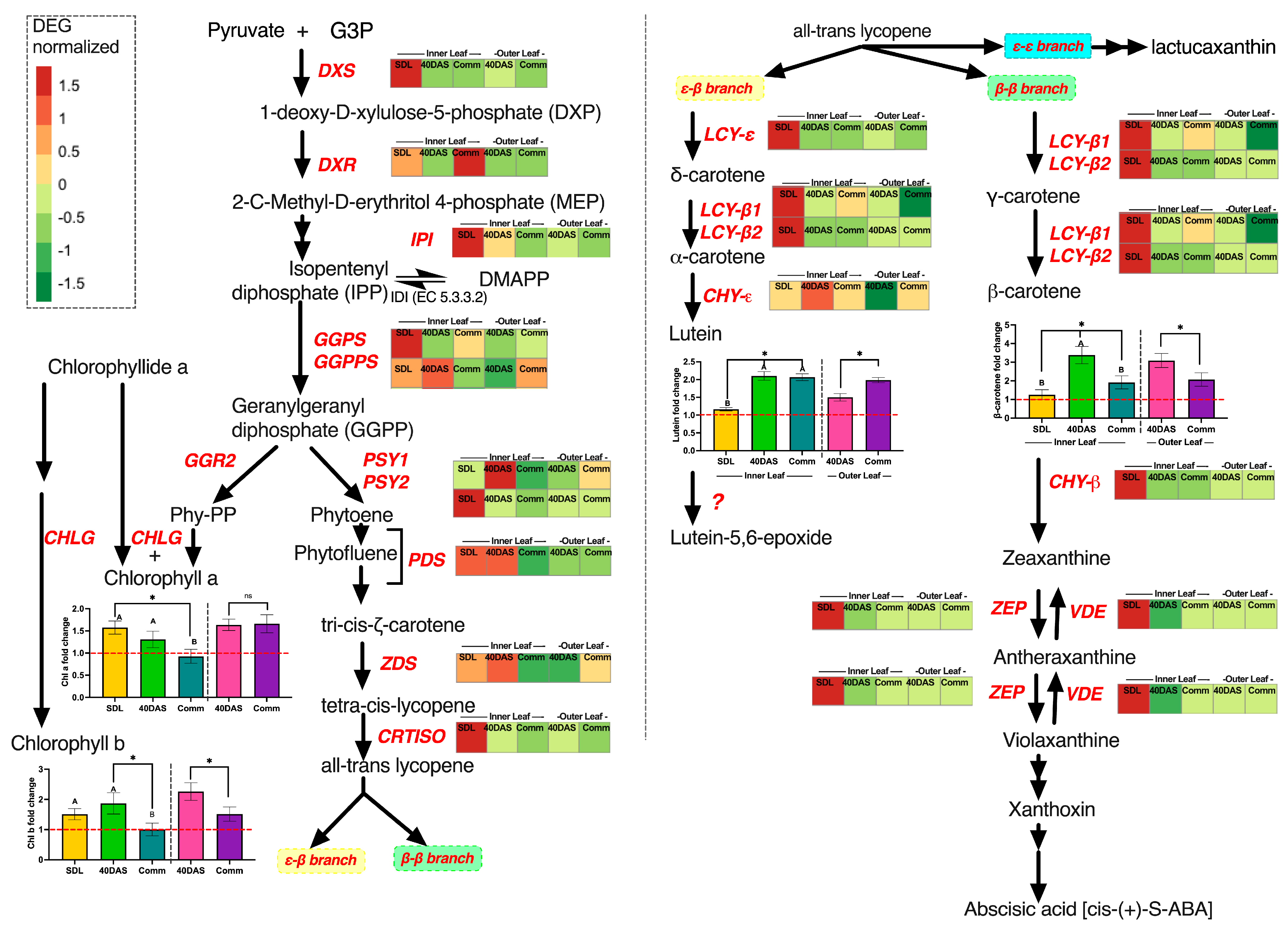 Ijms 24 10310 g006 Ijms 24 10310 g006