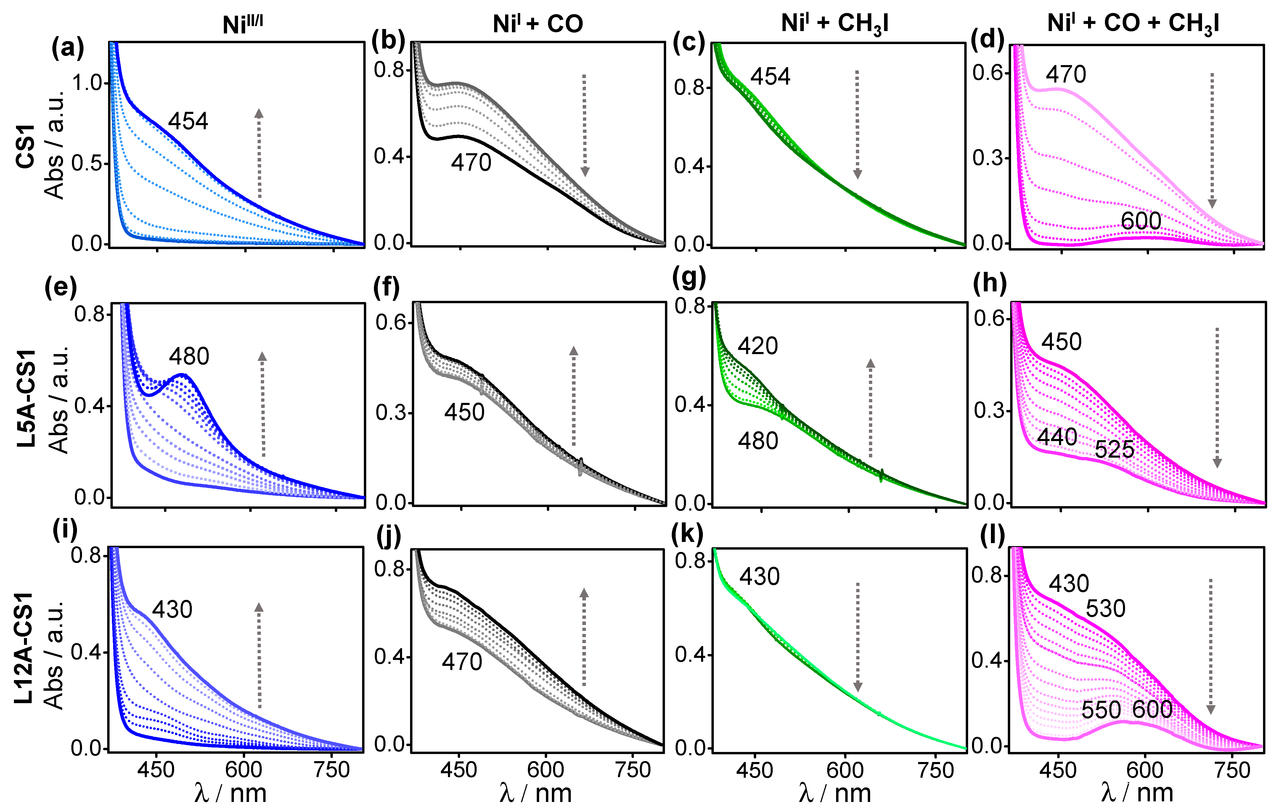 Ijms 24 10317 g004 Ijms 24 10317 g004