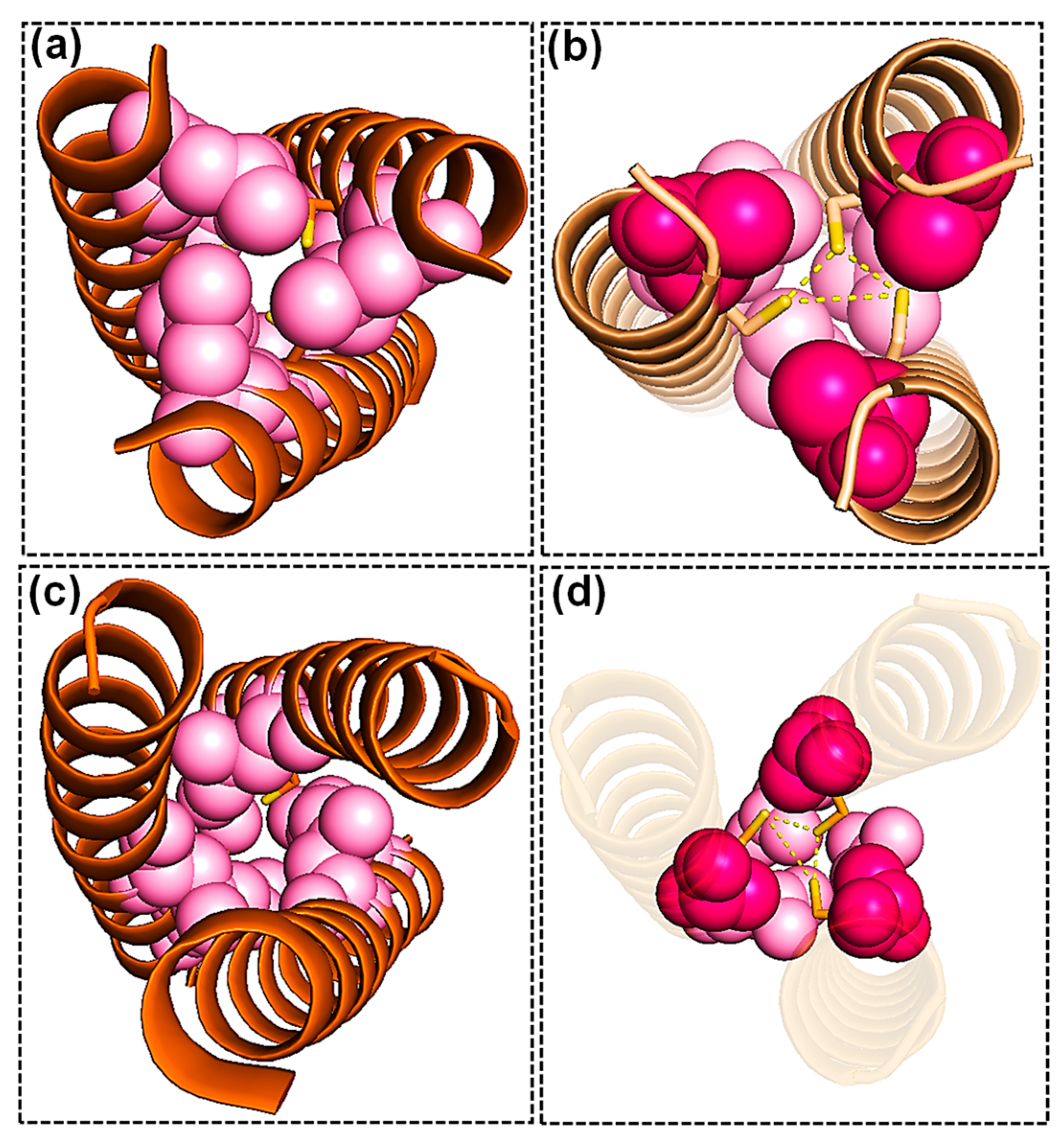 Ijms 24 10317 g007 Ijms 24 10317 g007