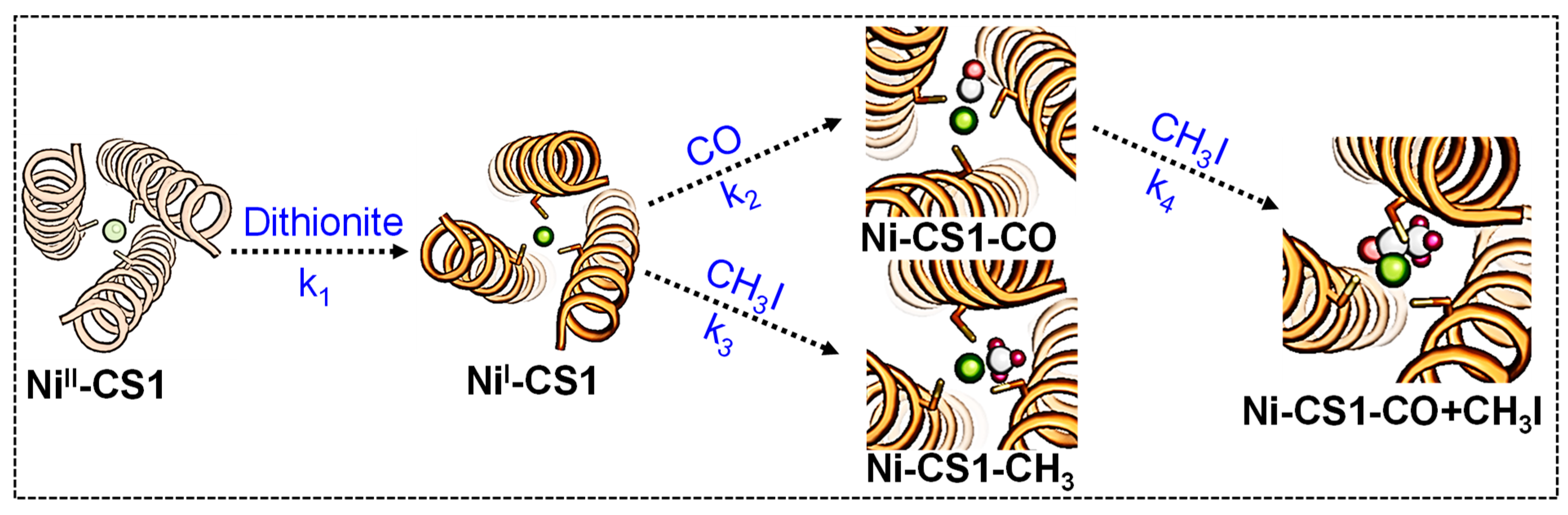 Ijms 24 10317 sch001 Ijms 24 10317 sch001