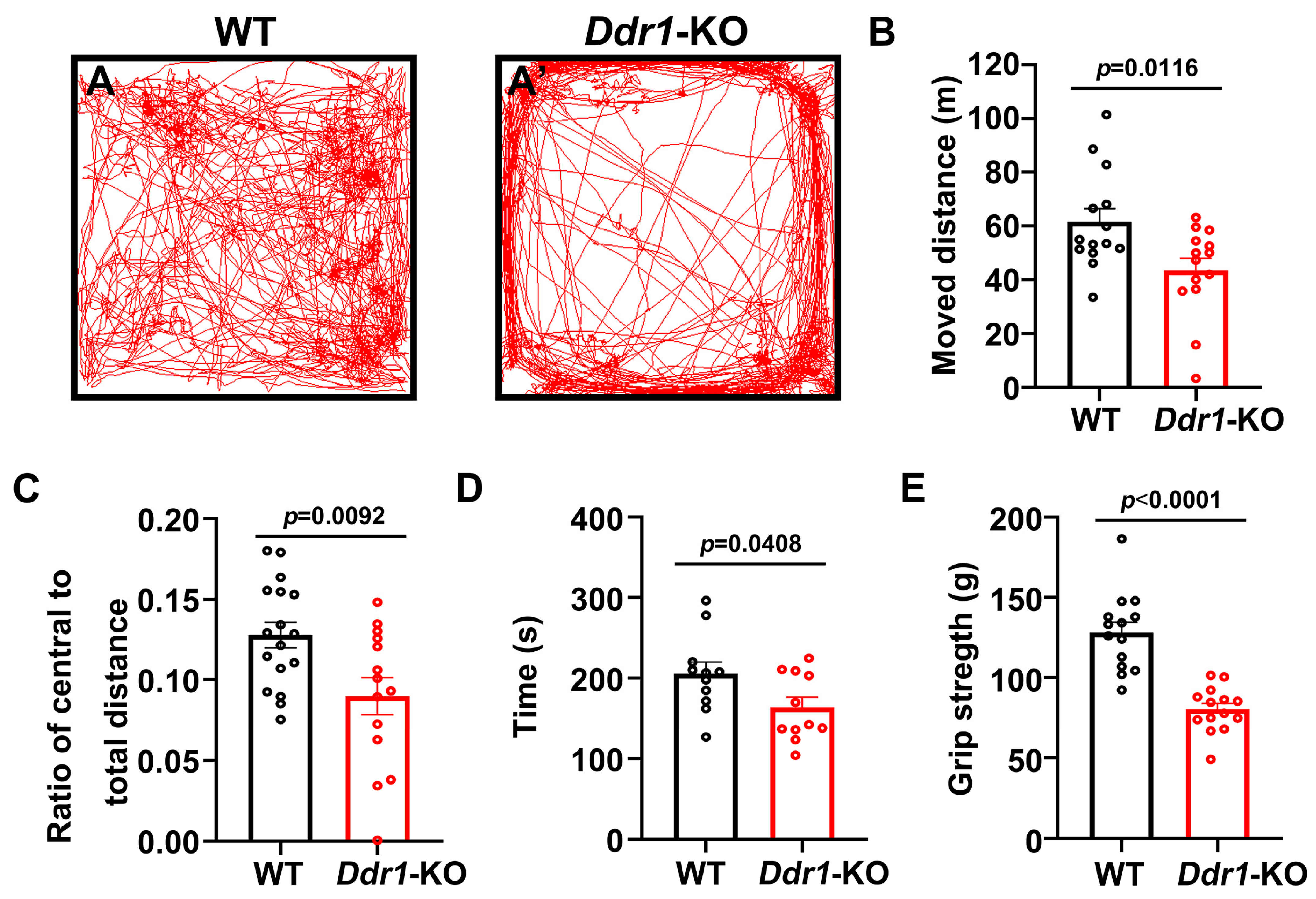 Ijms 24 10318 g005 Ijms 24 10318 g005