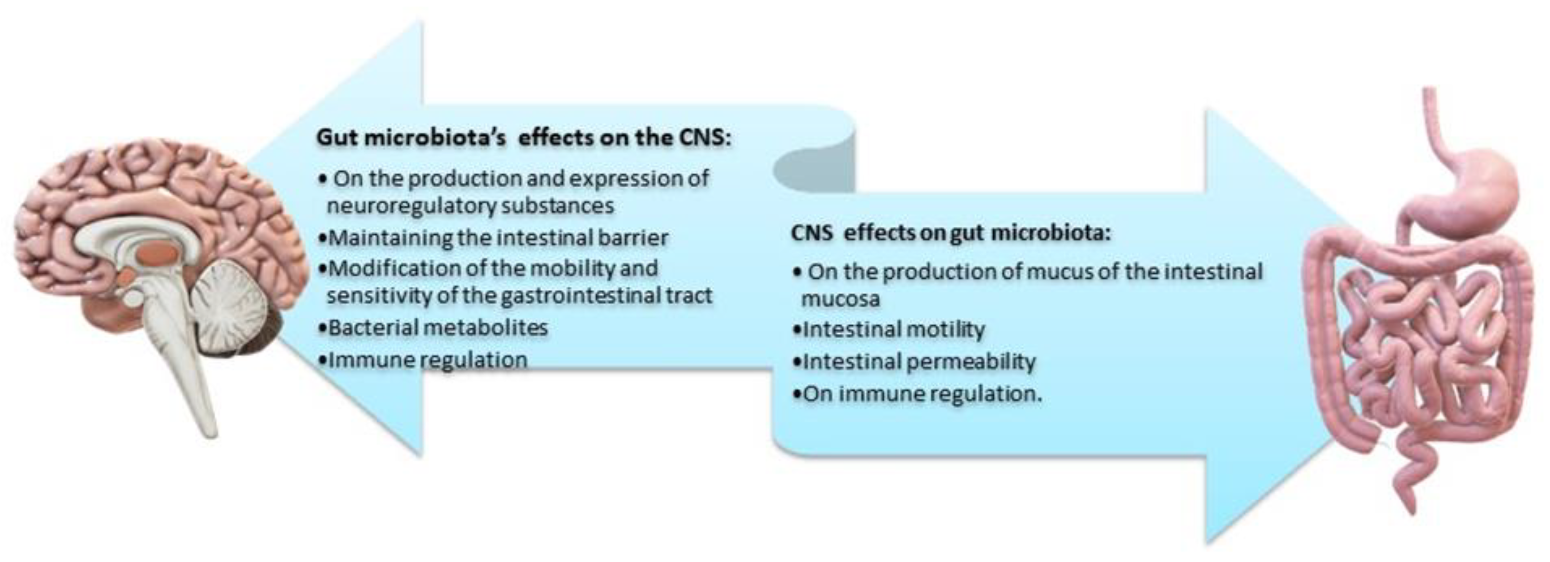 Ijms Free Full Text The Crosstalk Between Gut Microbiota And