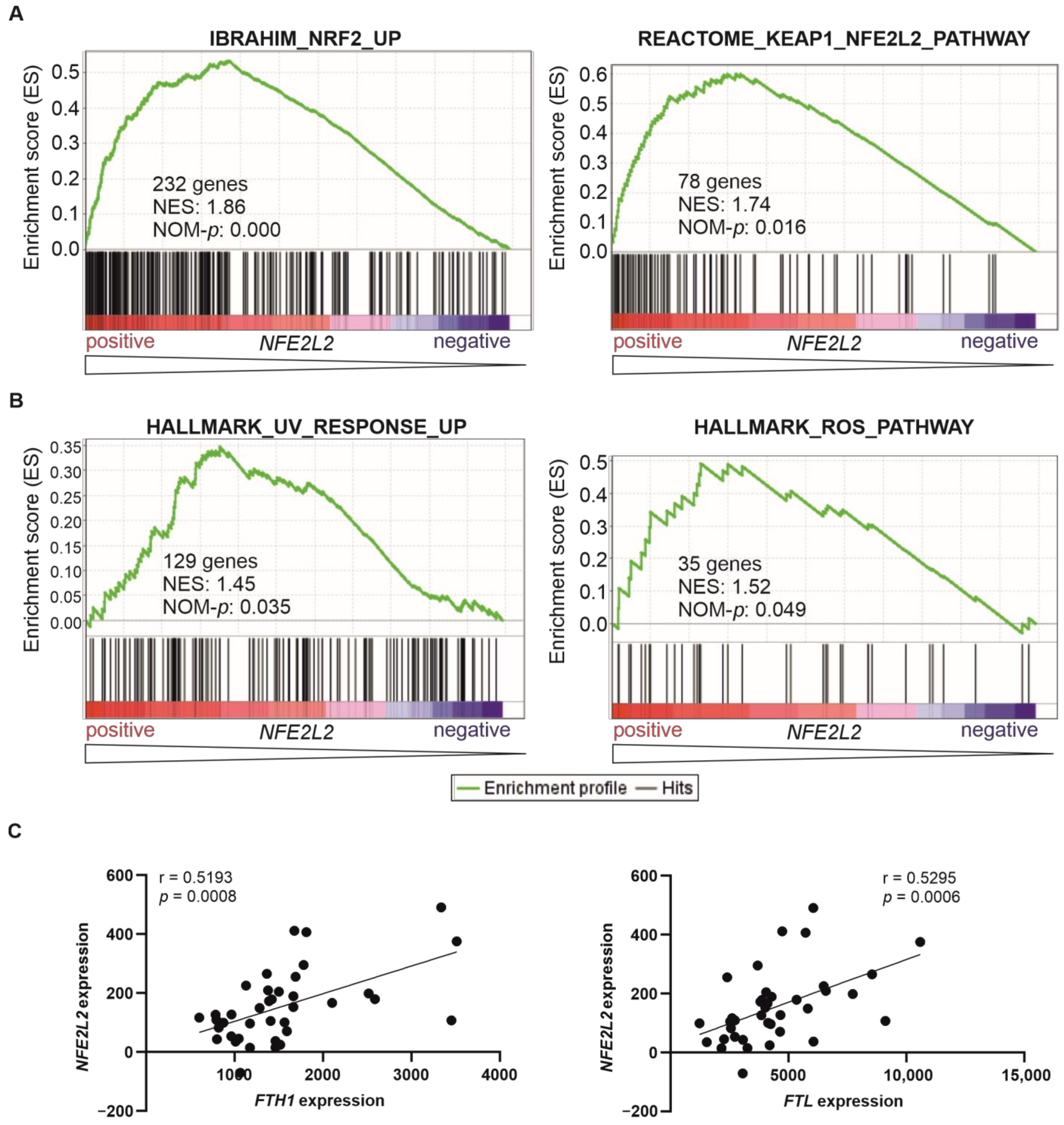Ijms 24 10350 g002 Ijms 24 10350 g002