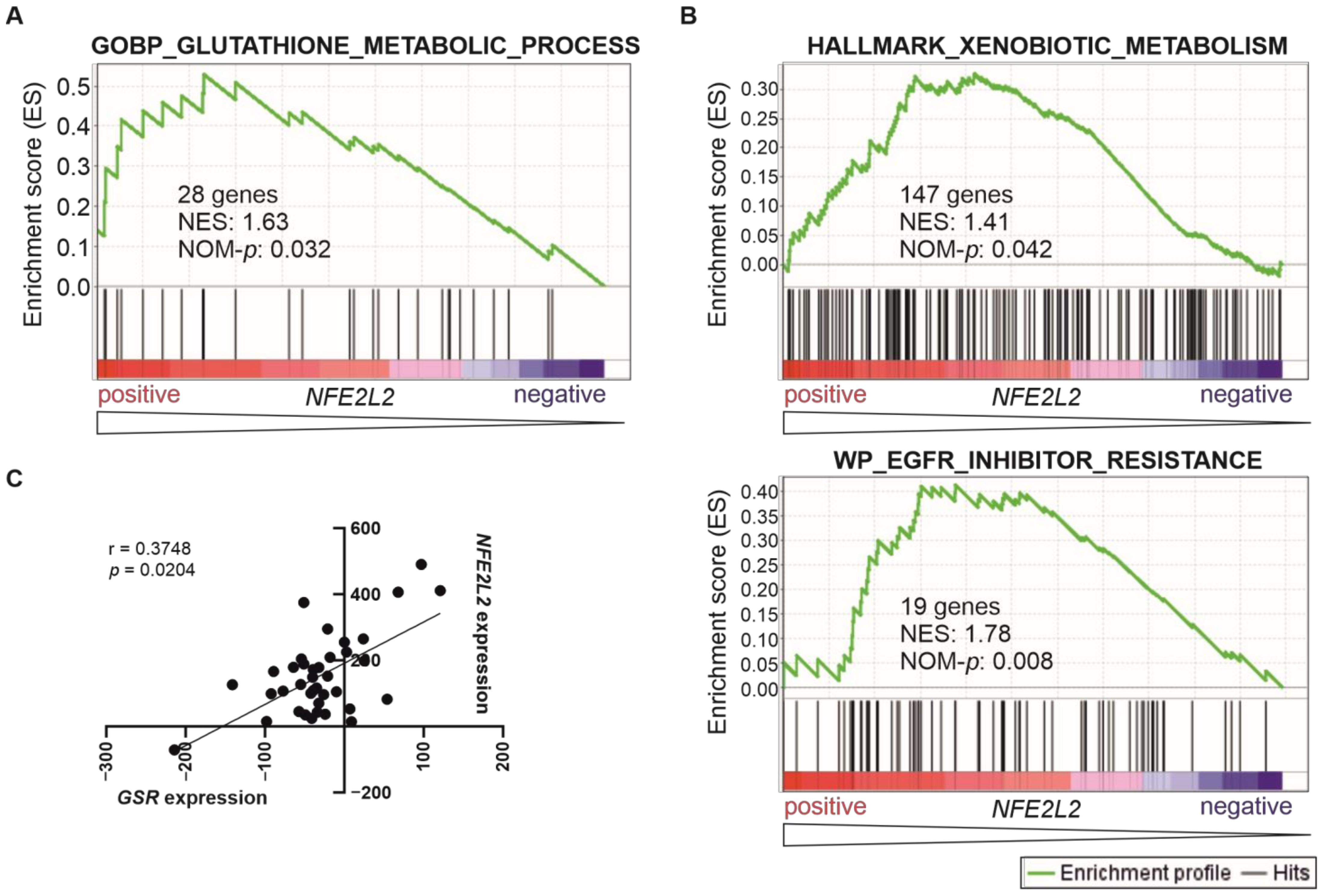 Ijms 24 10350 g004 Ijms 24 10350 g004