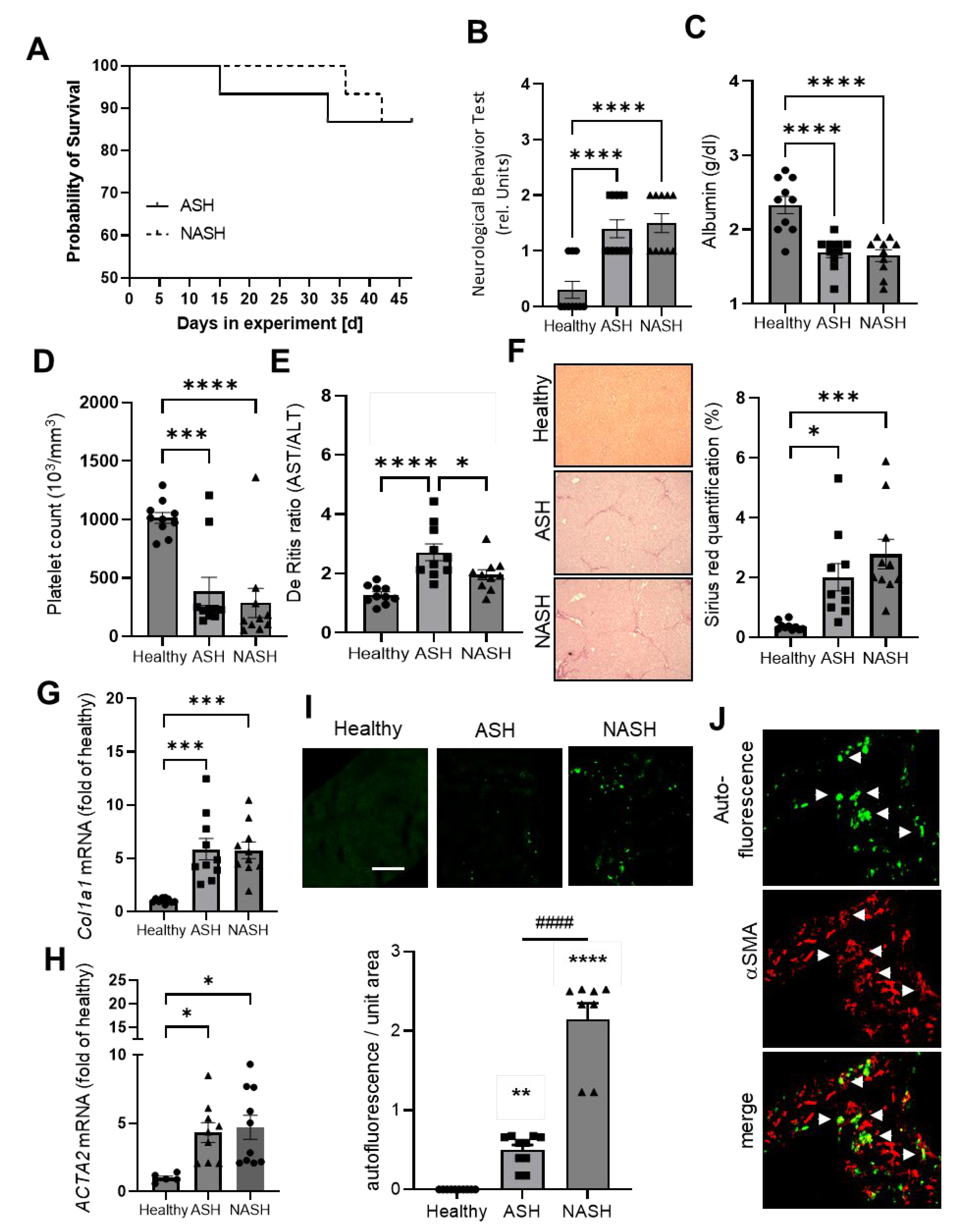 IJMS | Free Full-Text | Differential Lipidomics, Metabolomics and