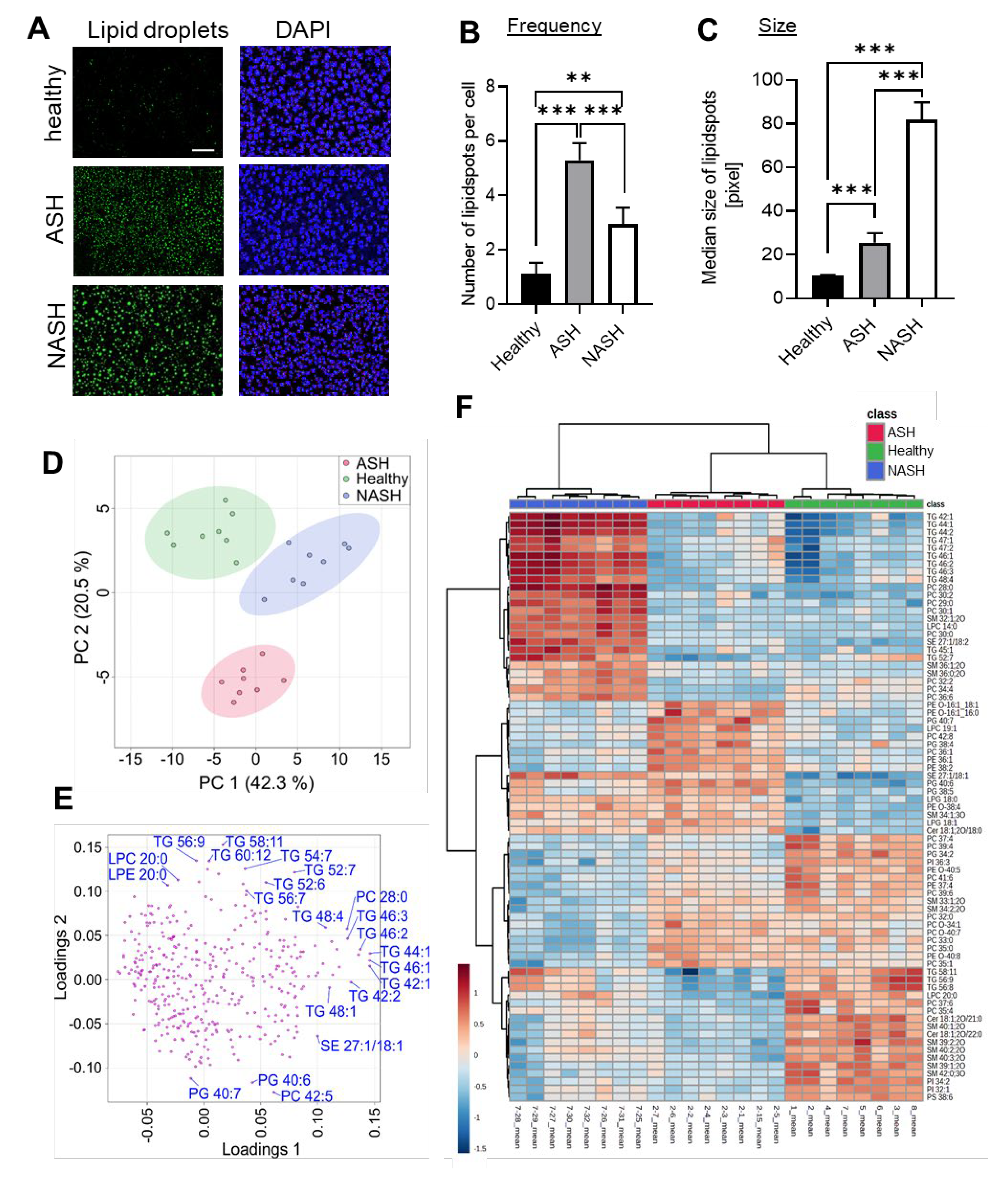 Ijms 24 10351 g002 Ijms 24 10351 g002