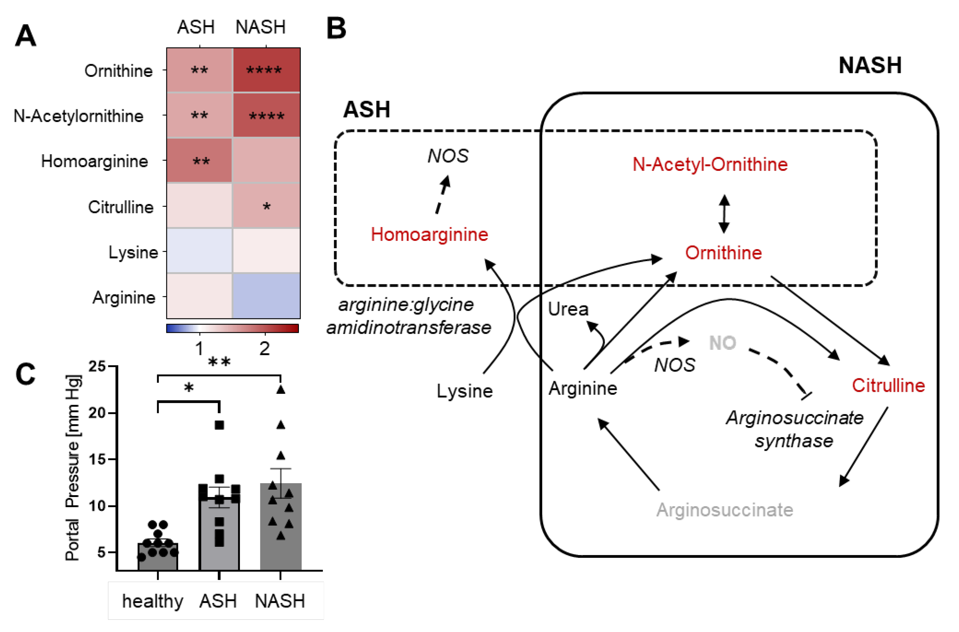 Ijms 24 10351 g006 Ijms 24 10351 g006