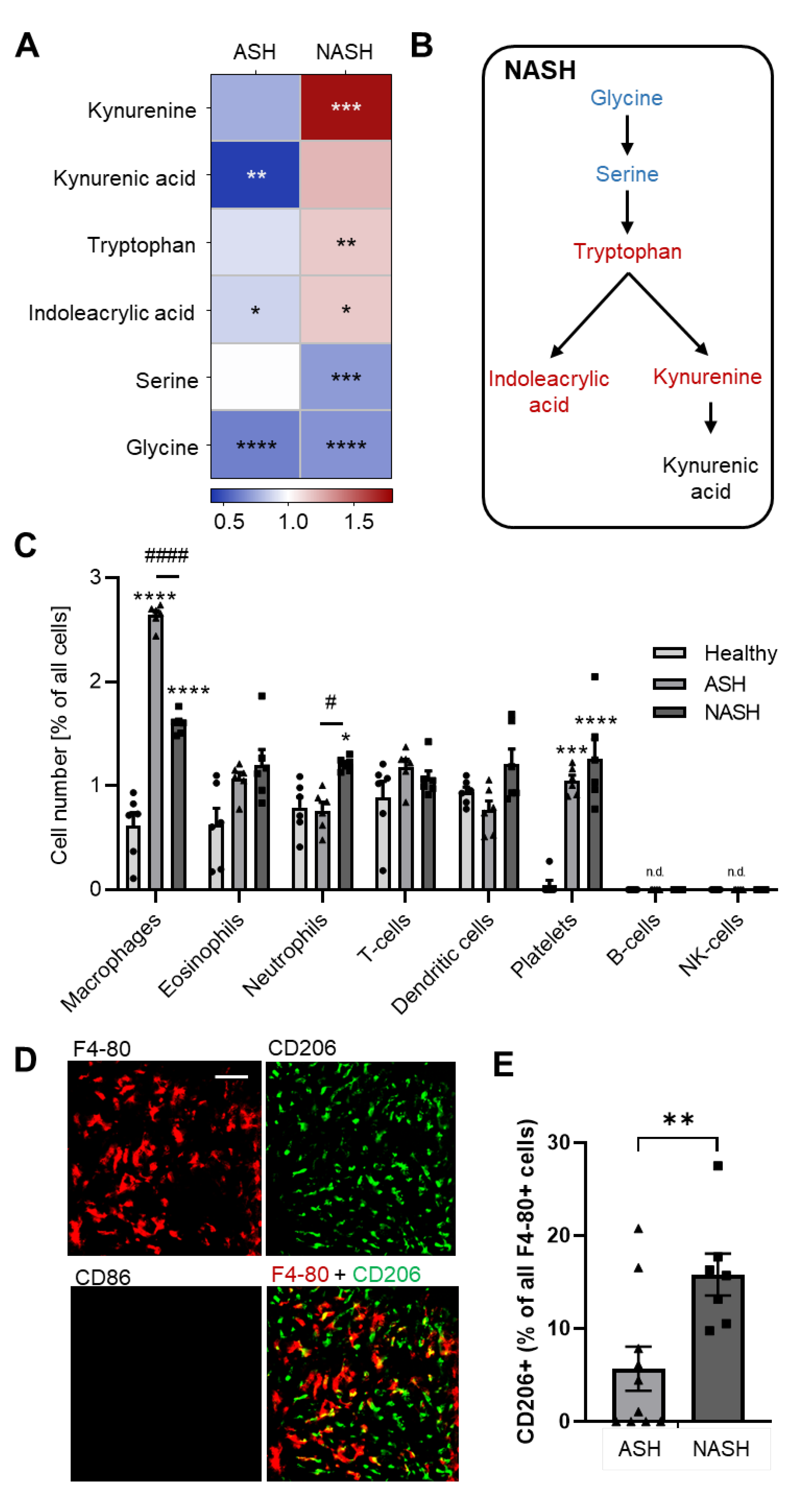 Ijms 24 10351 g007 Ijms 24 10351 g007