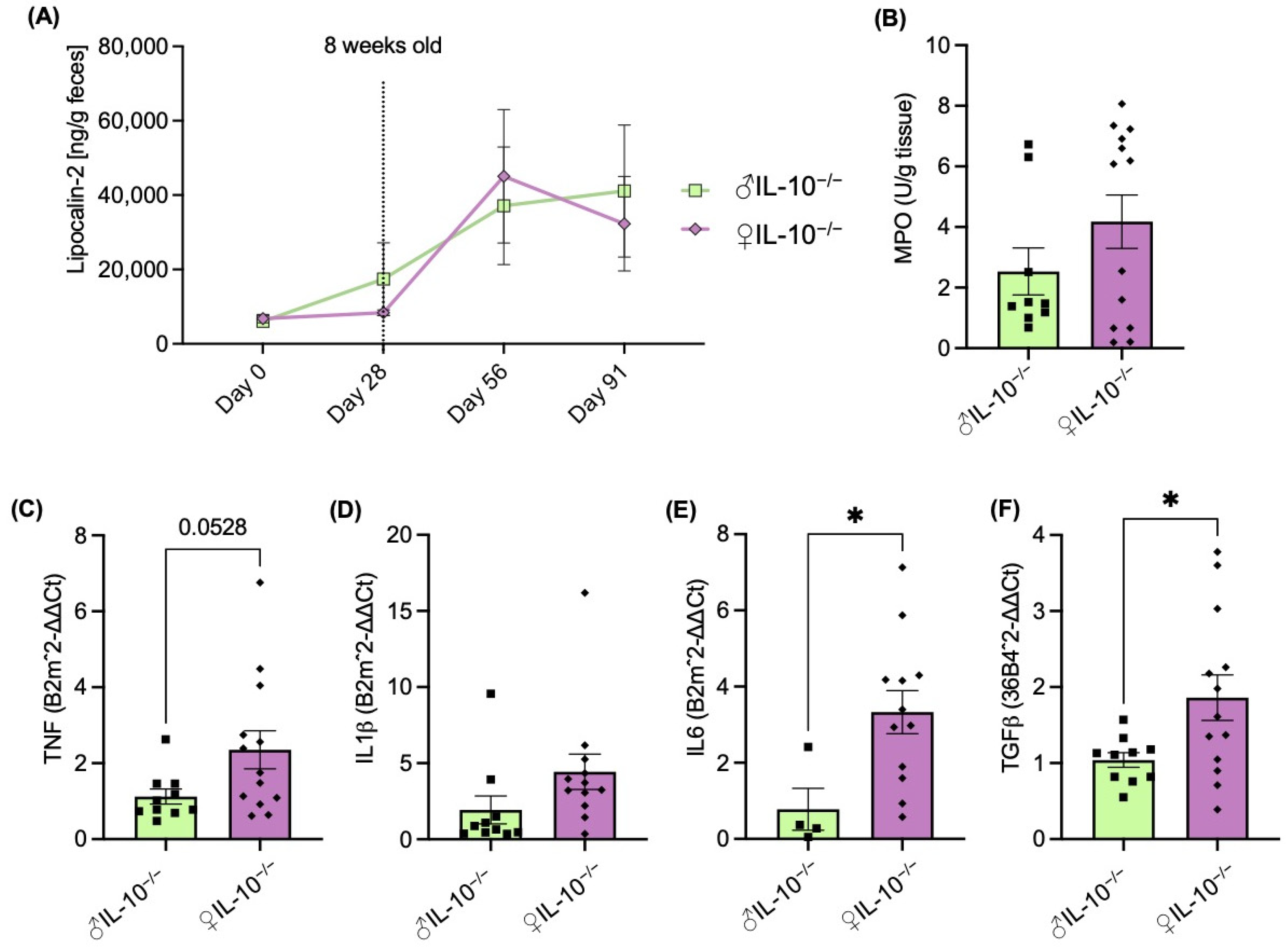 IJMS | Free Full-Text | The Effect of Sex-Specific Differences on IL-10 ...