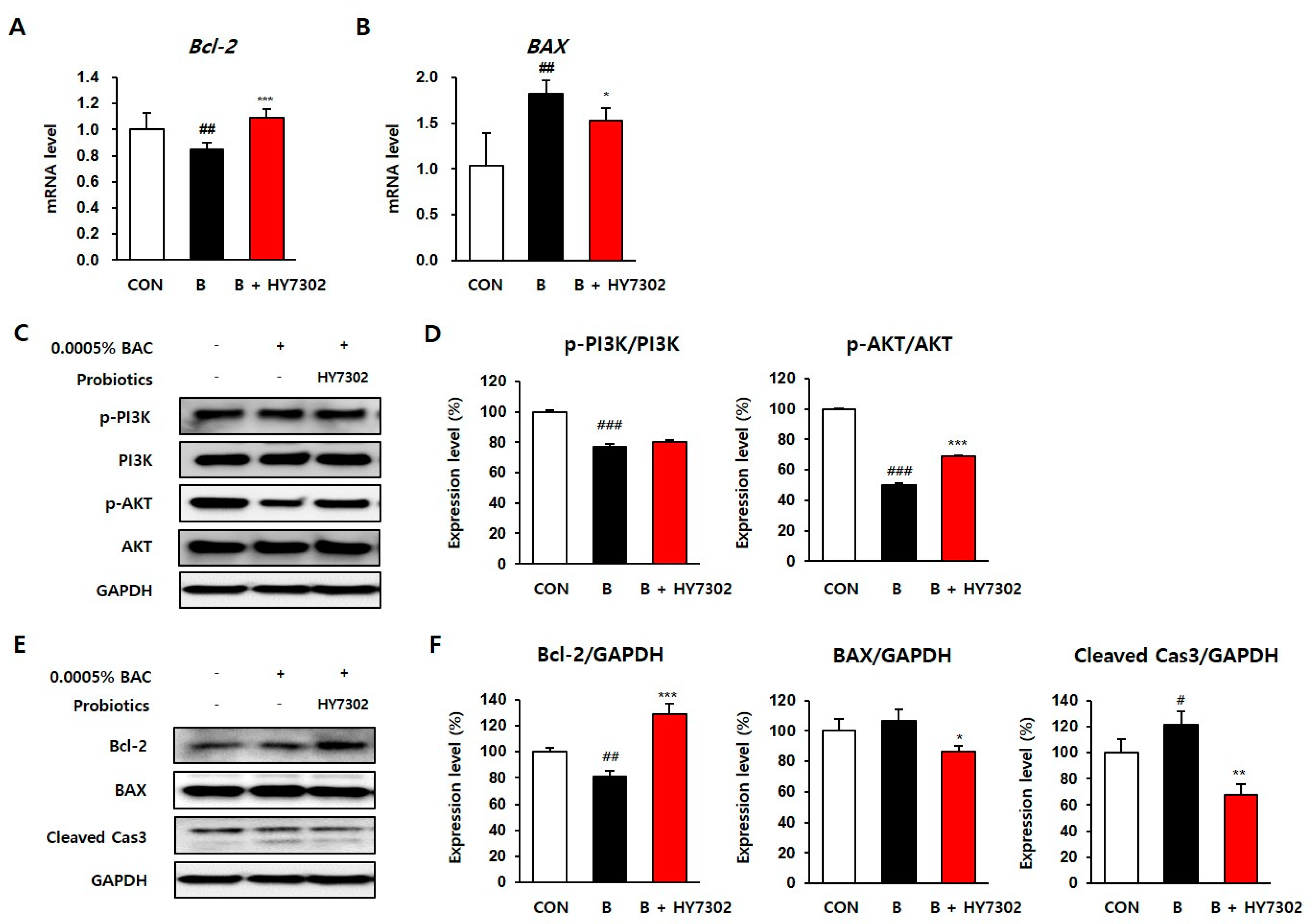 Ijms 24 10378 g005 Ijms 24 10378 g005