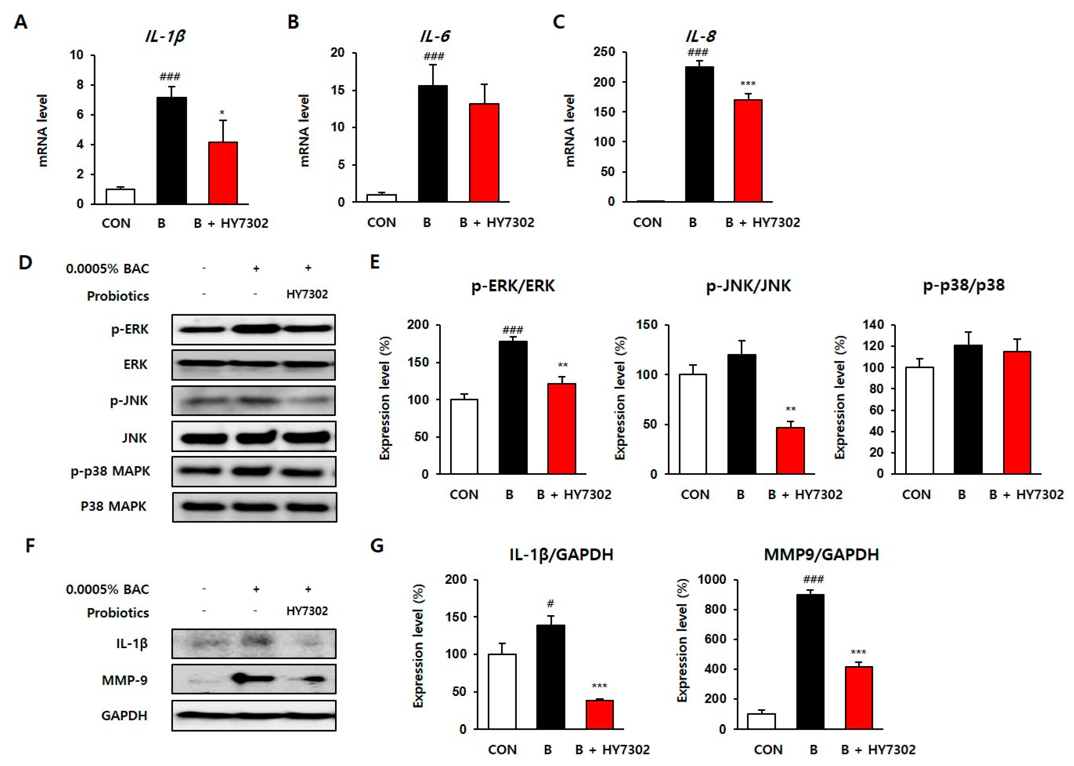 Ijms 24 10378 g006 Ijms 24 10378 g006