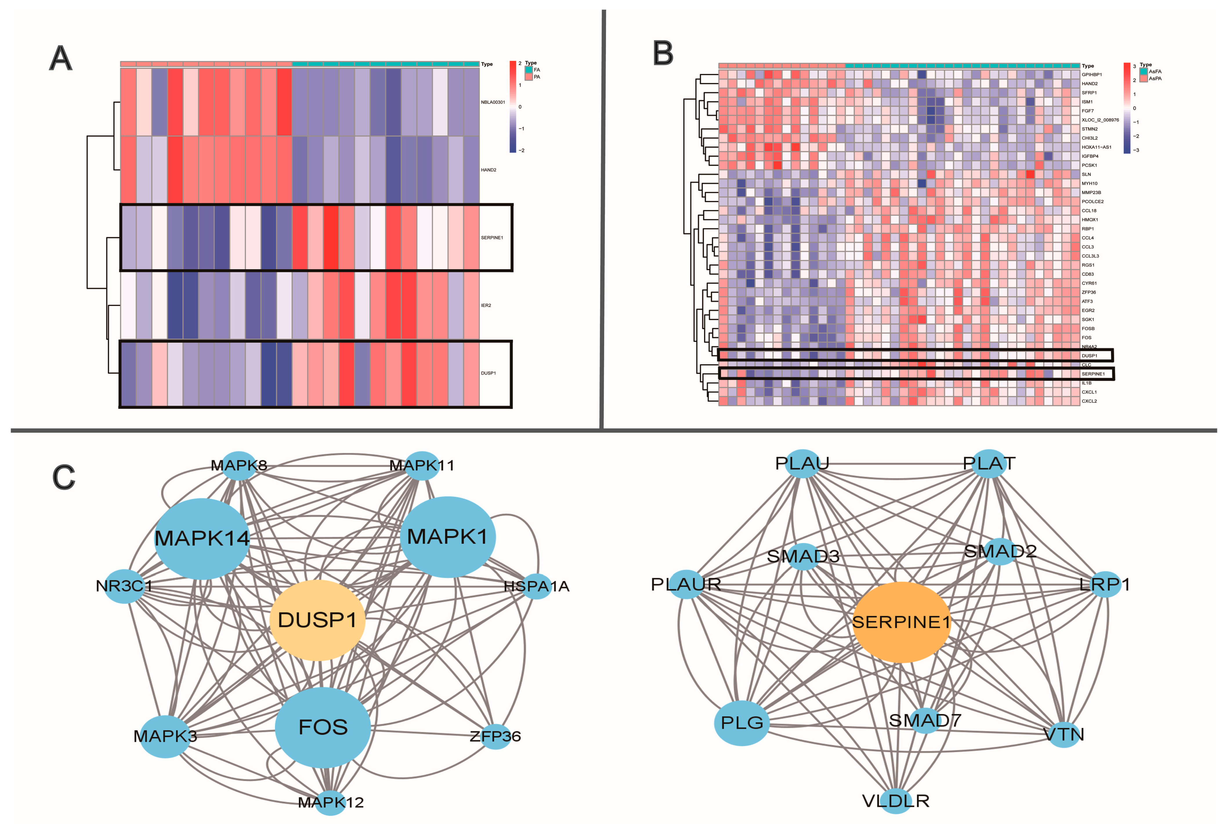 Ijms 24 10381 g001 Ijms 24 10381 g001
