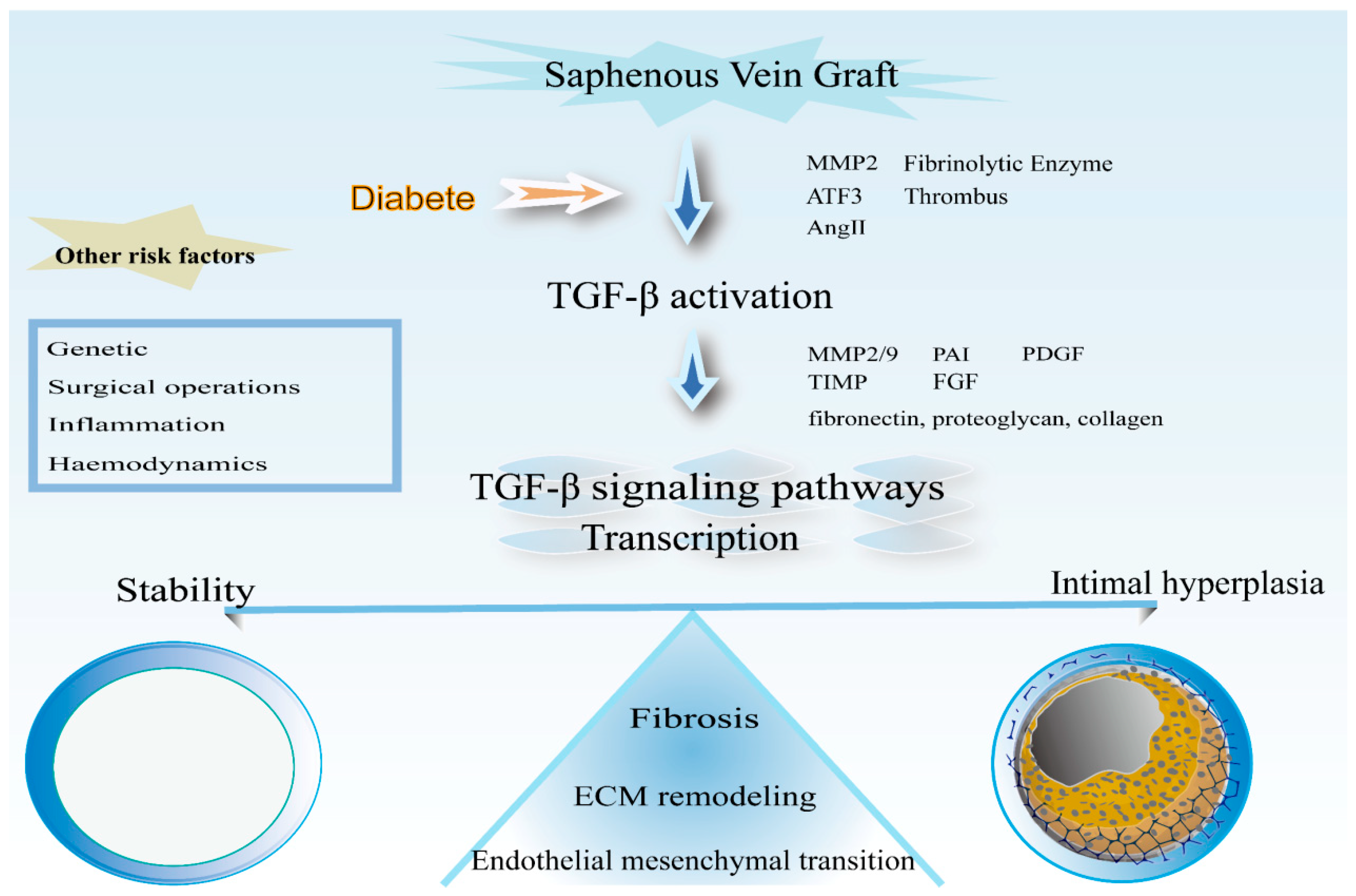 Ijms 24 10381 g007 Ijms 24 10381 g007