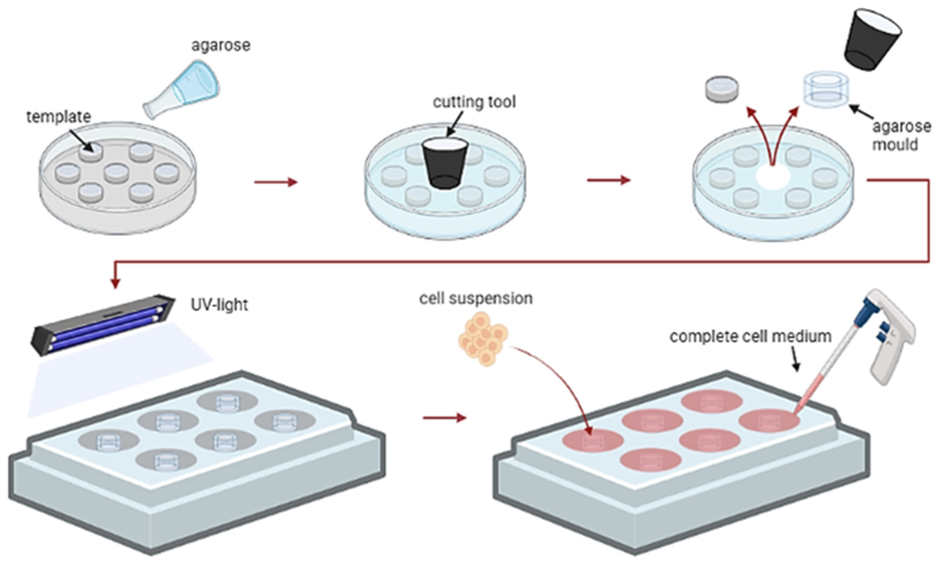 https://www.mdpi.com/ijms/ijms-24-10384/article_deploy/html/images/ijms-24-10384-g001.png