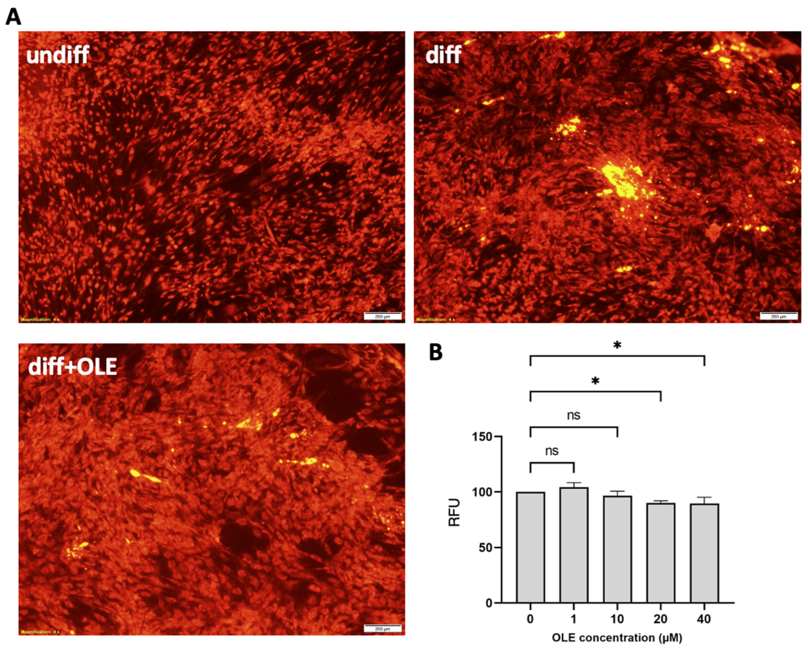 Ijms 24 10419 g001 Ijms 24 10419 g001