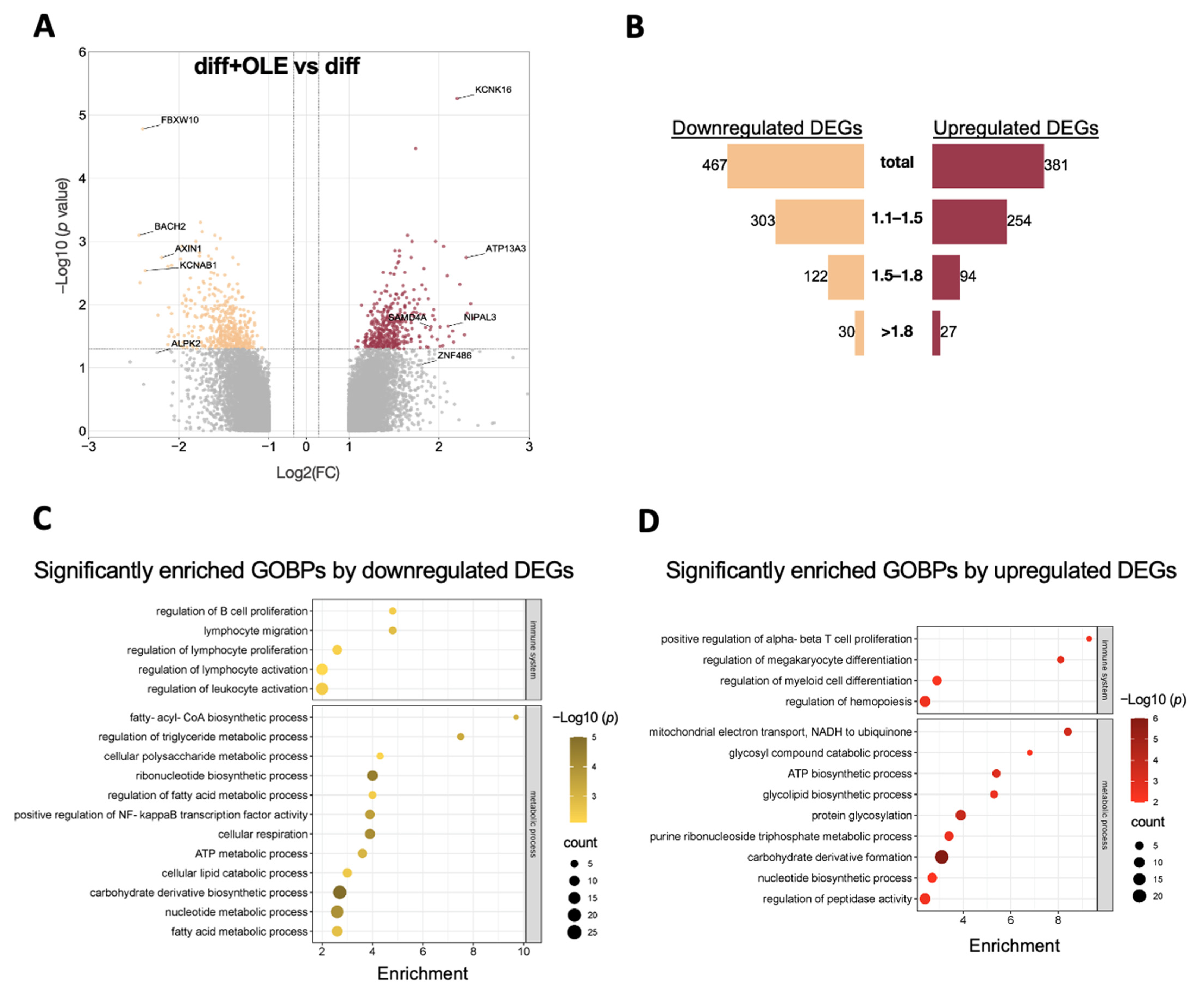 Ijms 24 10419 g003 Ijms 24 10419 g003
