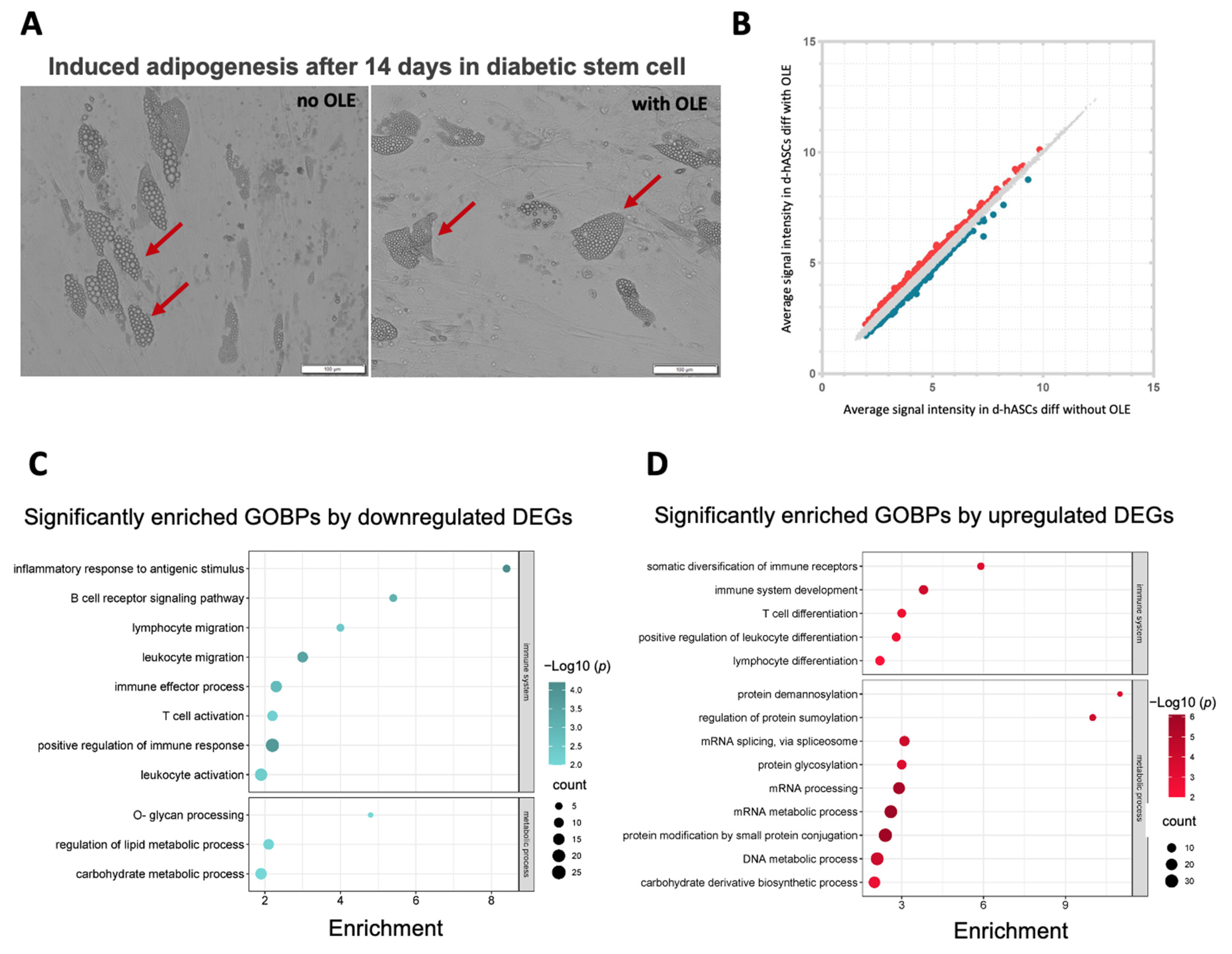 Ijms 24 10419 g005 Ijms 24 10419 g005