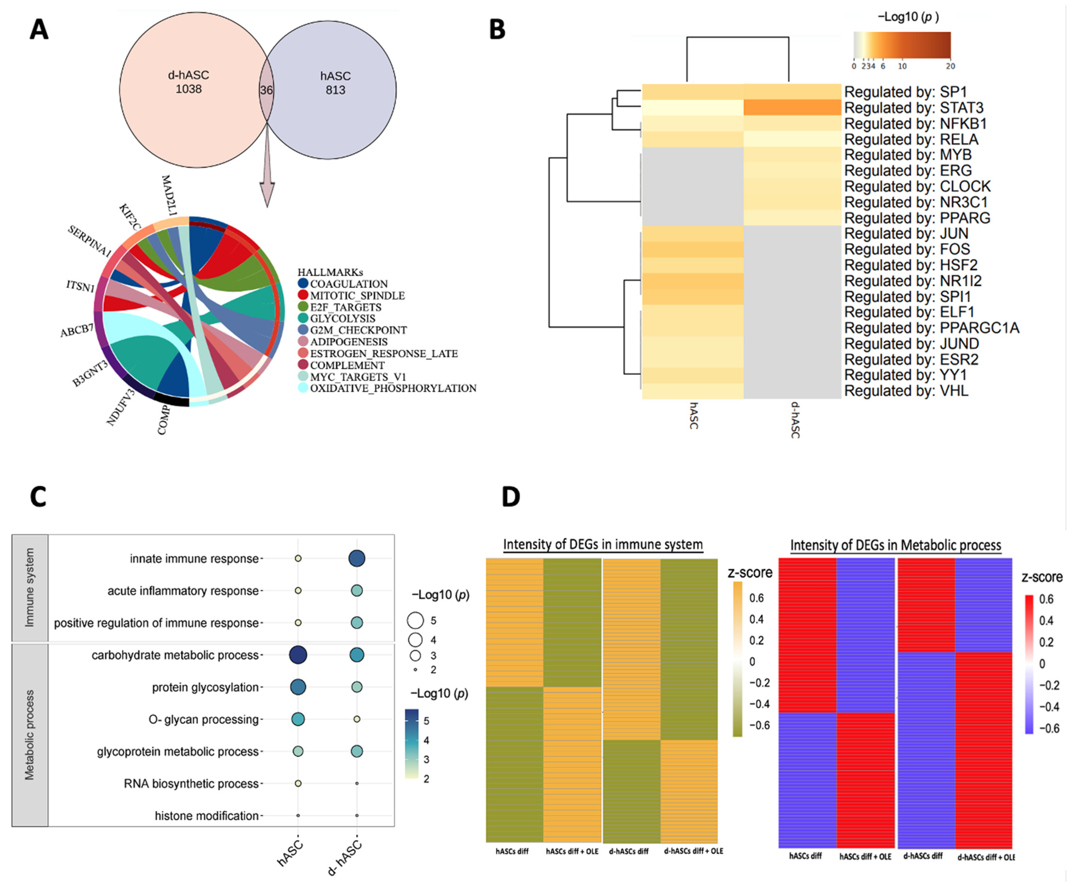 Ijms 24 10419 g006 Ijms 24 10419 g006