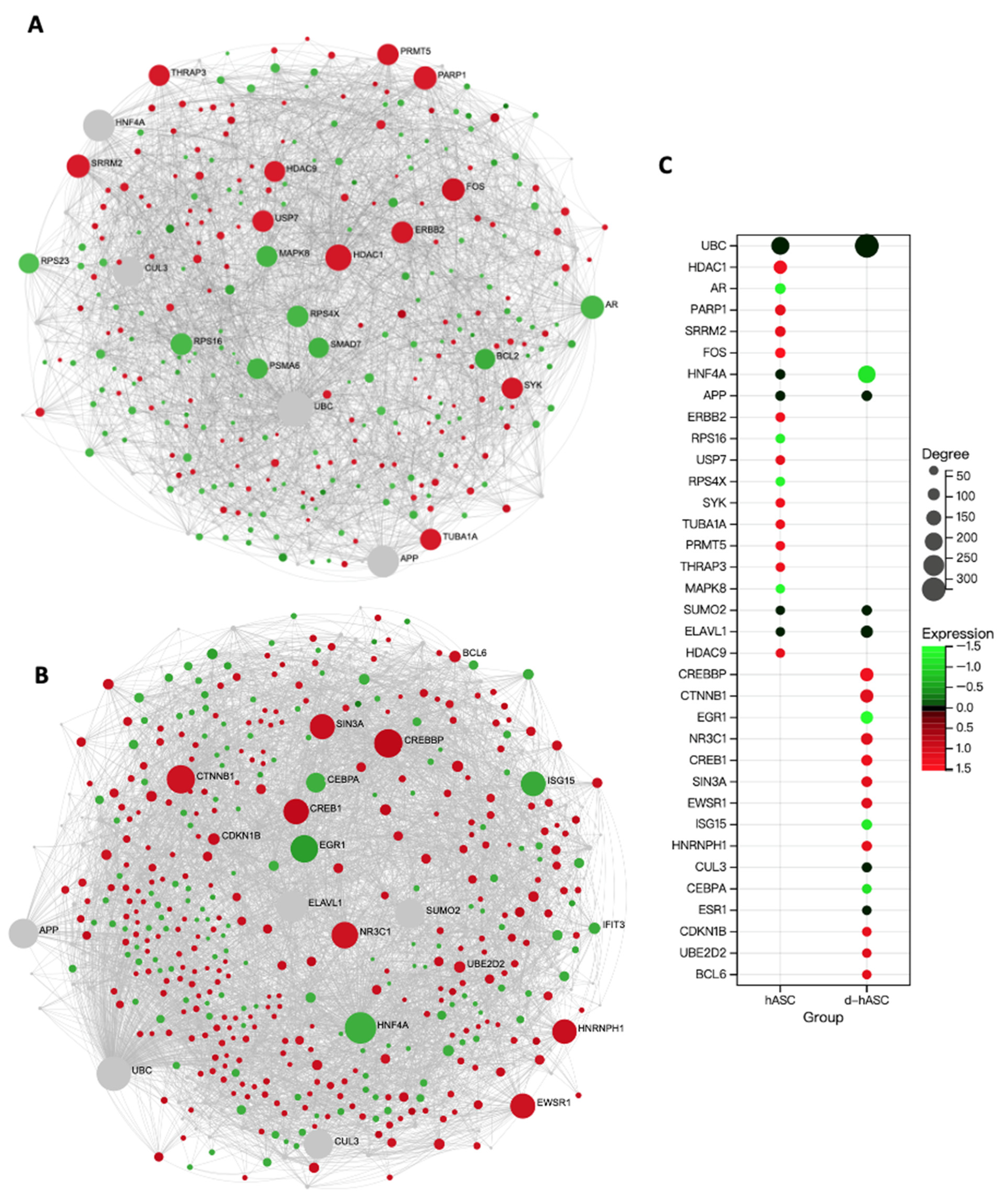 Ijms 24 10419 g007 Ijms 24 10419 g007