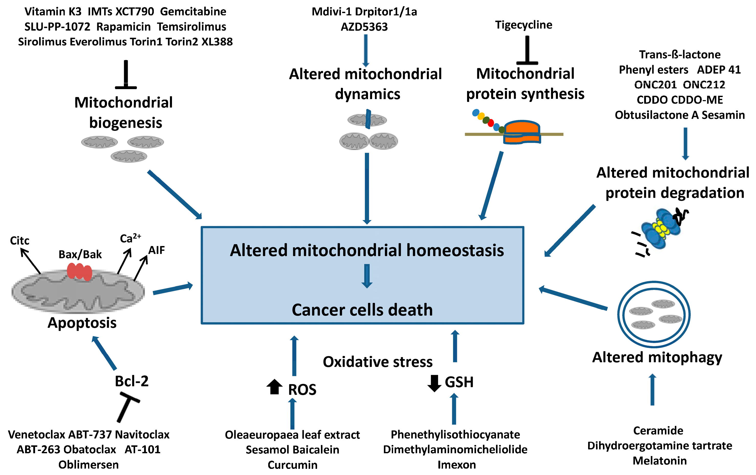 Ijms 24 10420 g003 Ijms 24 10420 g003
