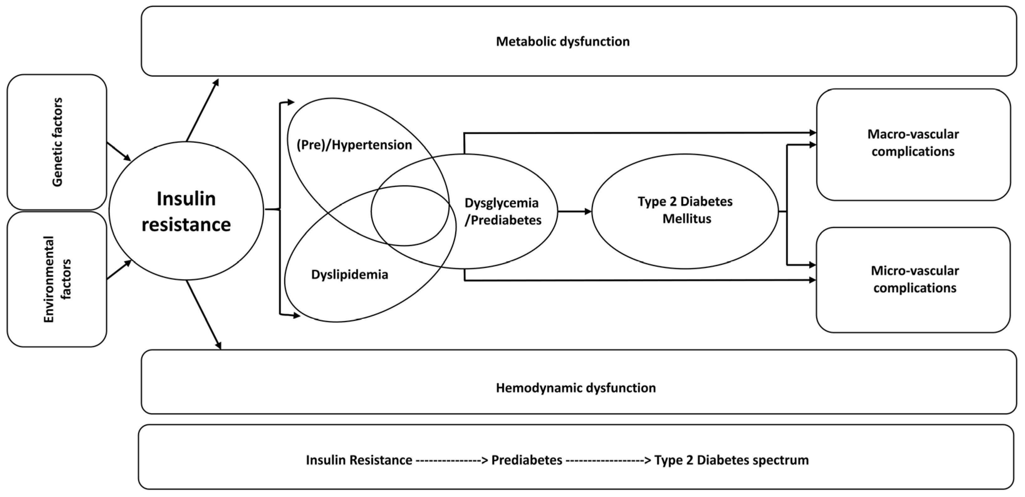 Ijms 24 10425 g005 Ijms 24 10425 g005