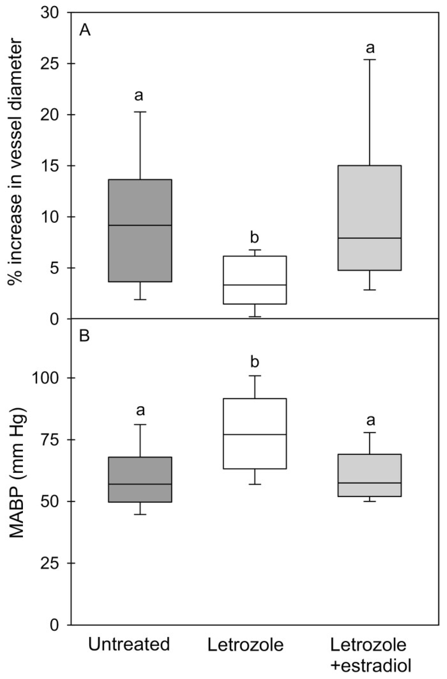 Ijms 24 10425 g011 Ijms 24 10425 g011