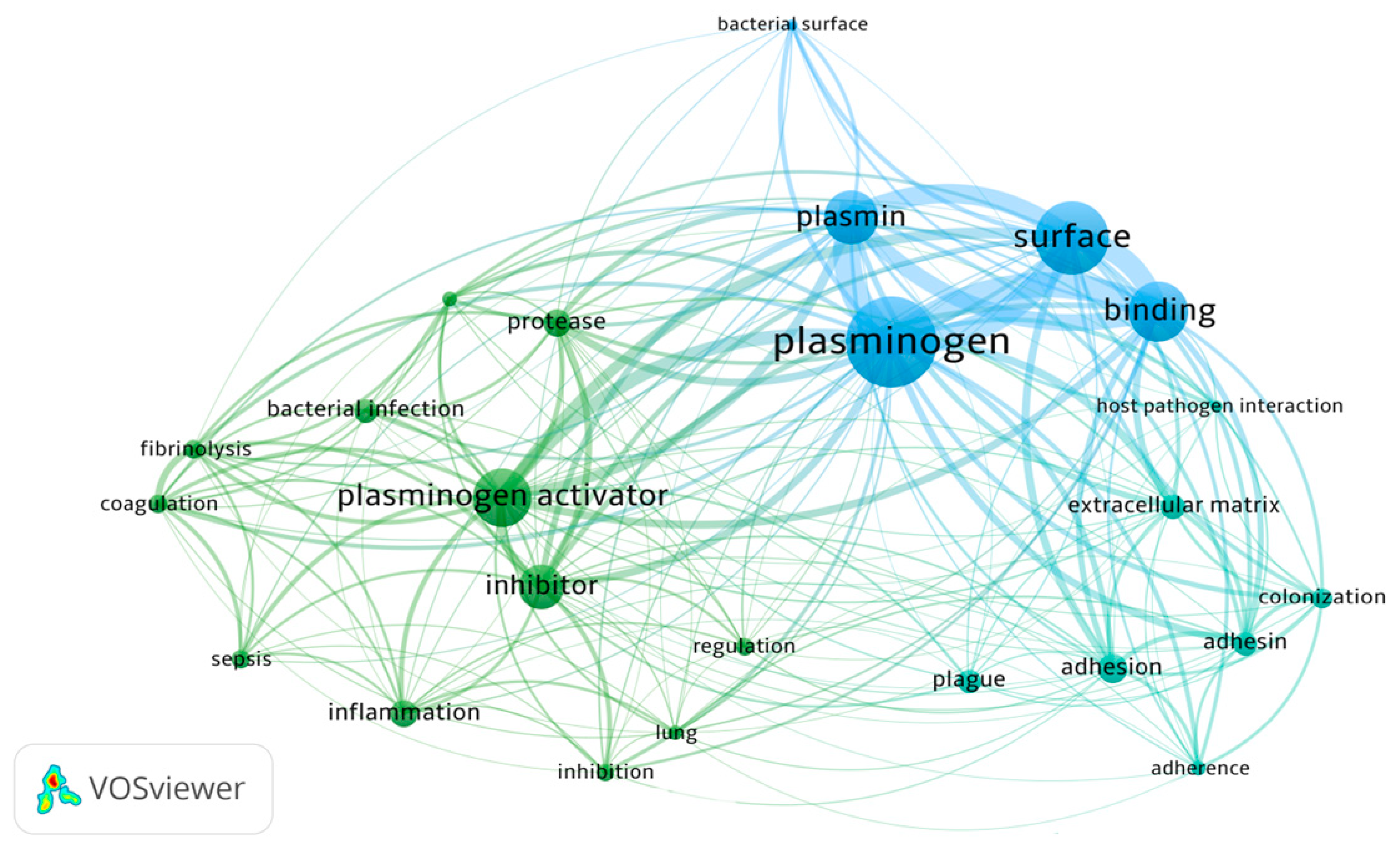 Ijms 24 10436 g001 Ijms 24 10436 g001