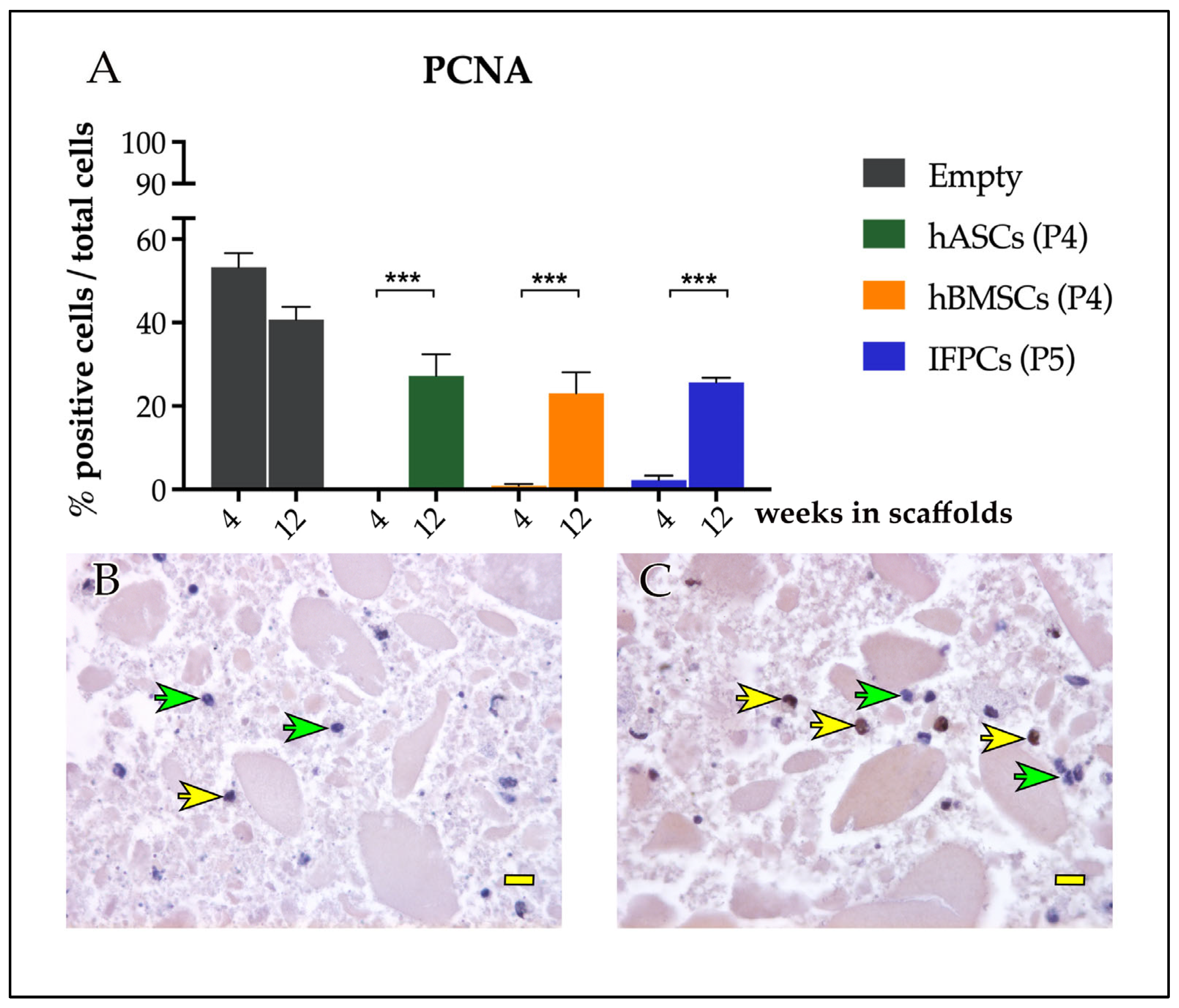 Ijms 24 10446 g004 Ijms 24 10446 g004