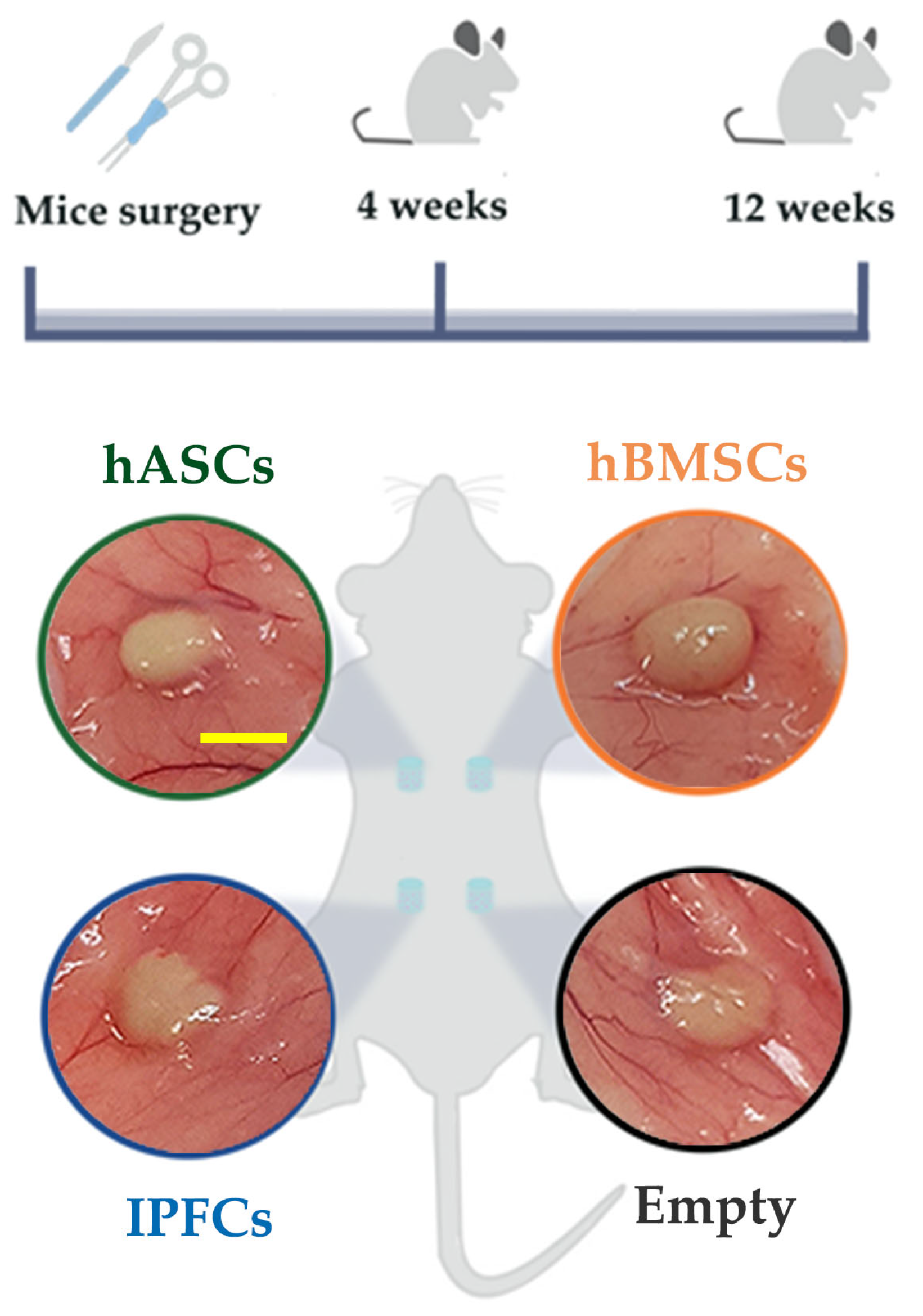Ijms 24 10446 g006 Ijms 24 10446 g006