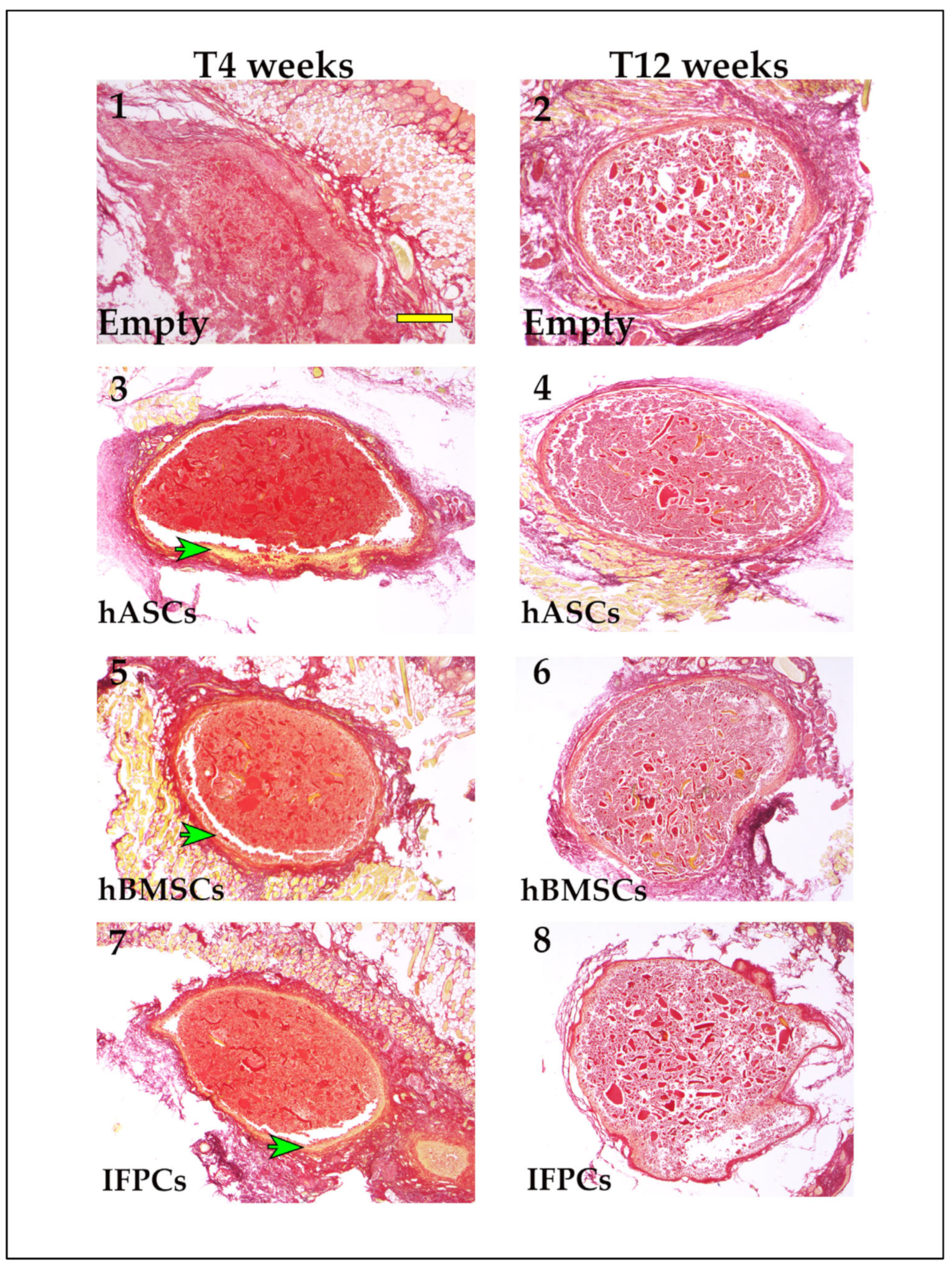 Ijms 24 10446 g0a2 Ijms 24 10446 g0a2