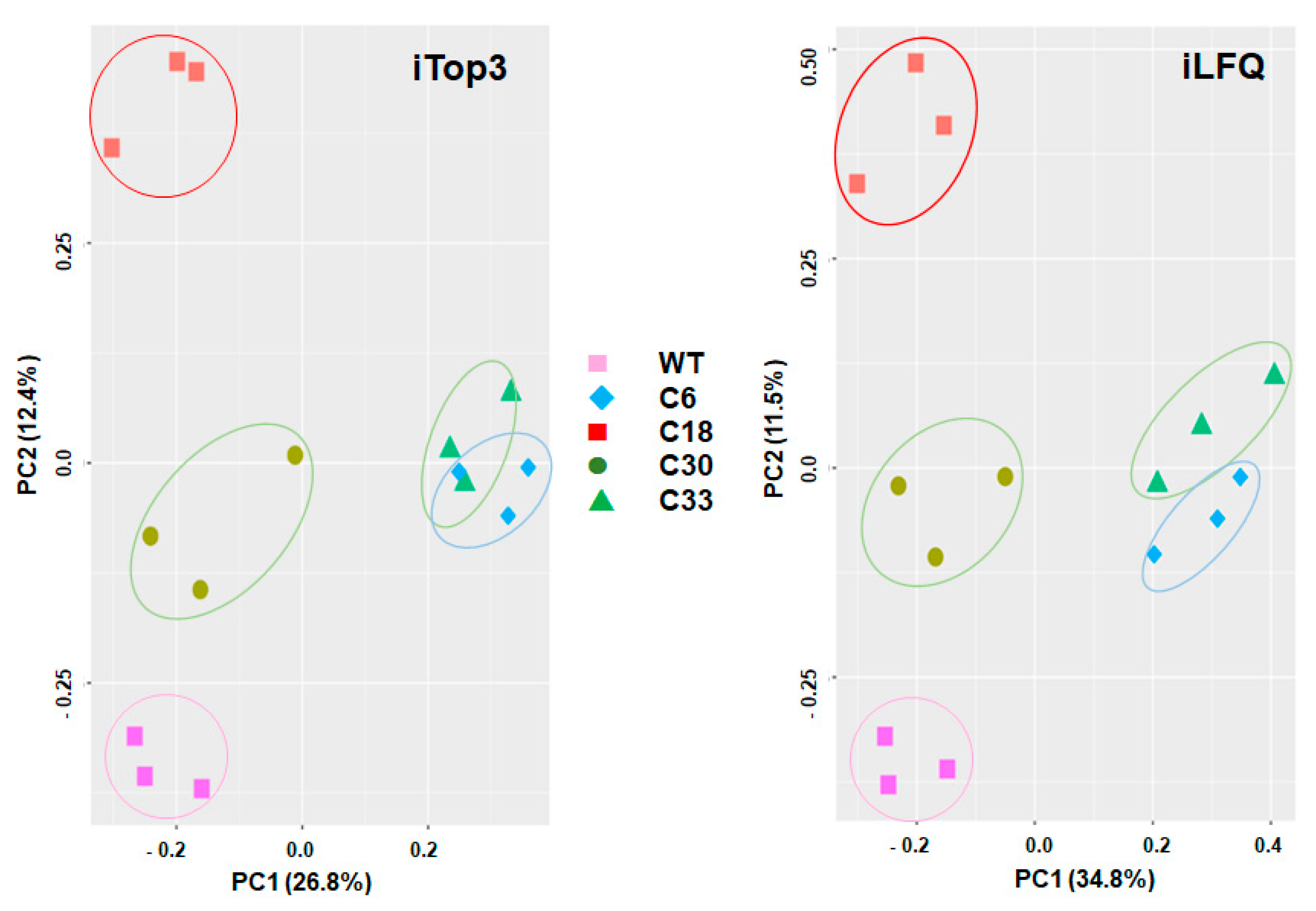 Ijms 24 10454 g001 Ijms 24 10454 g001