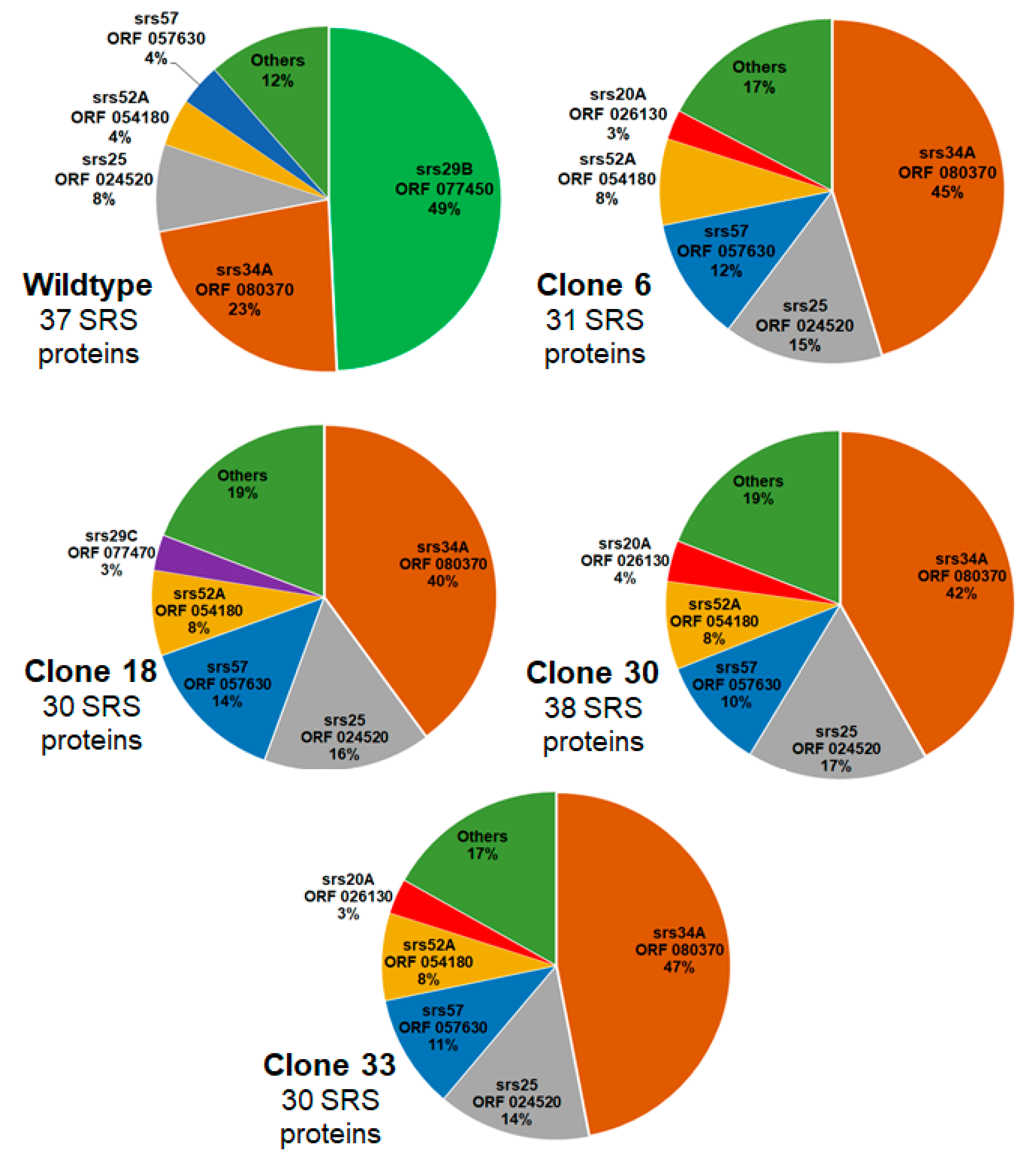 Ijms 24 10454 g004 Ijms 24 10454 g004