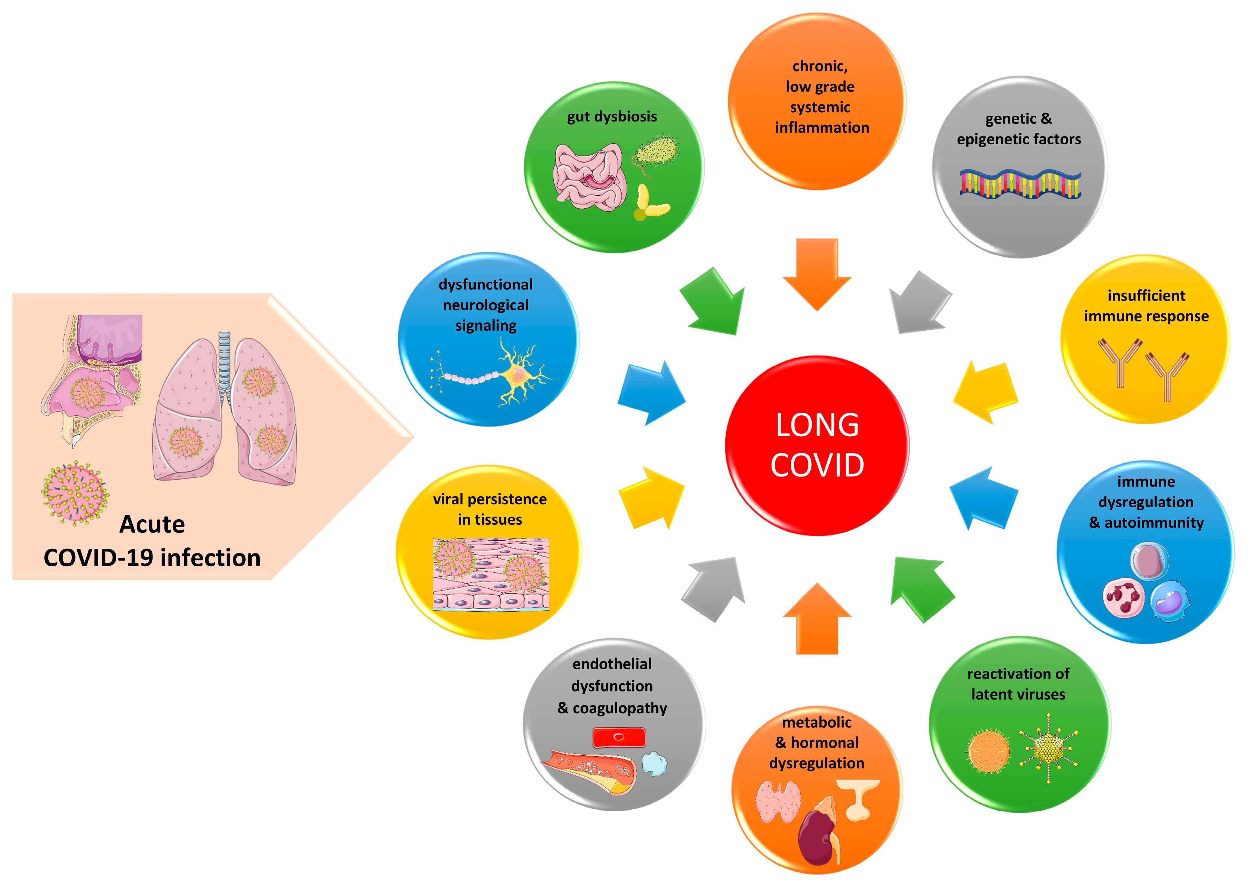 IJMS | Free Full-Text | Laboratory Findings and Biomarkers in Long COVID:  What Do We Know So Far? Insights into Epidemiology, Pathogenesis,  Therapeutic Perspectives and Challenges