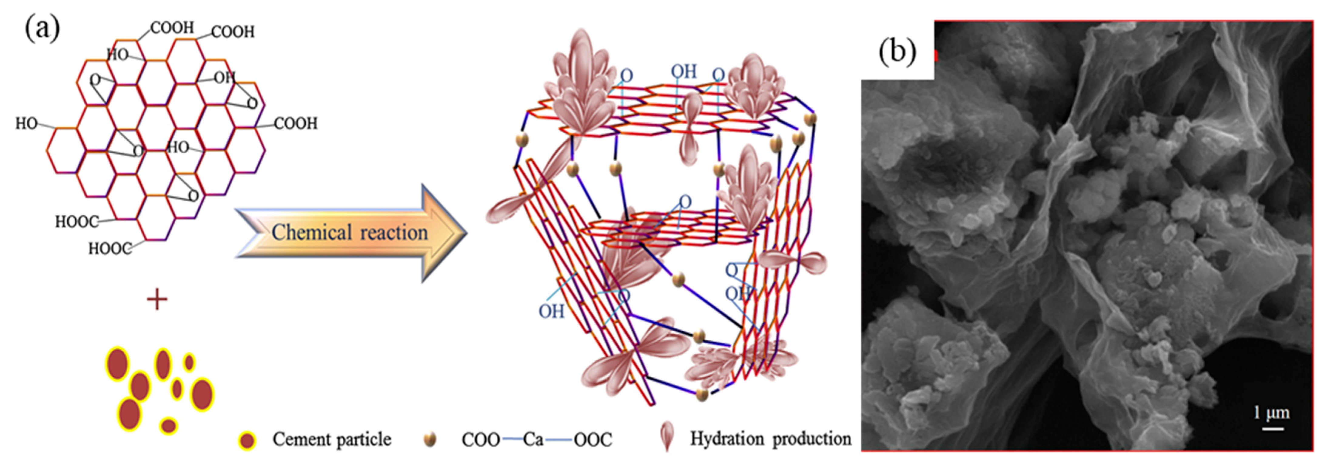 Ijms 24 10461 g004 Ijms 24 10461 g004