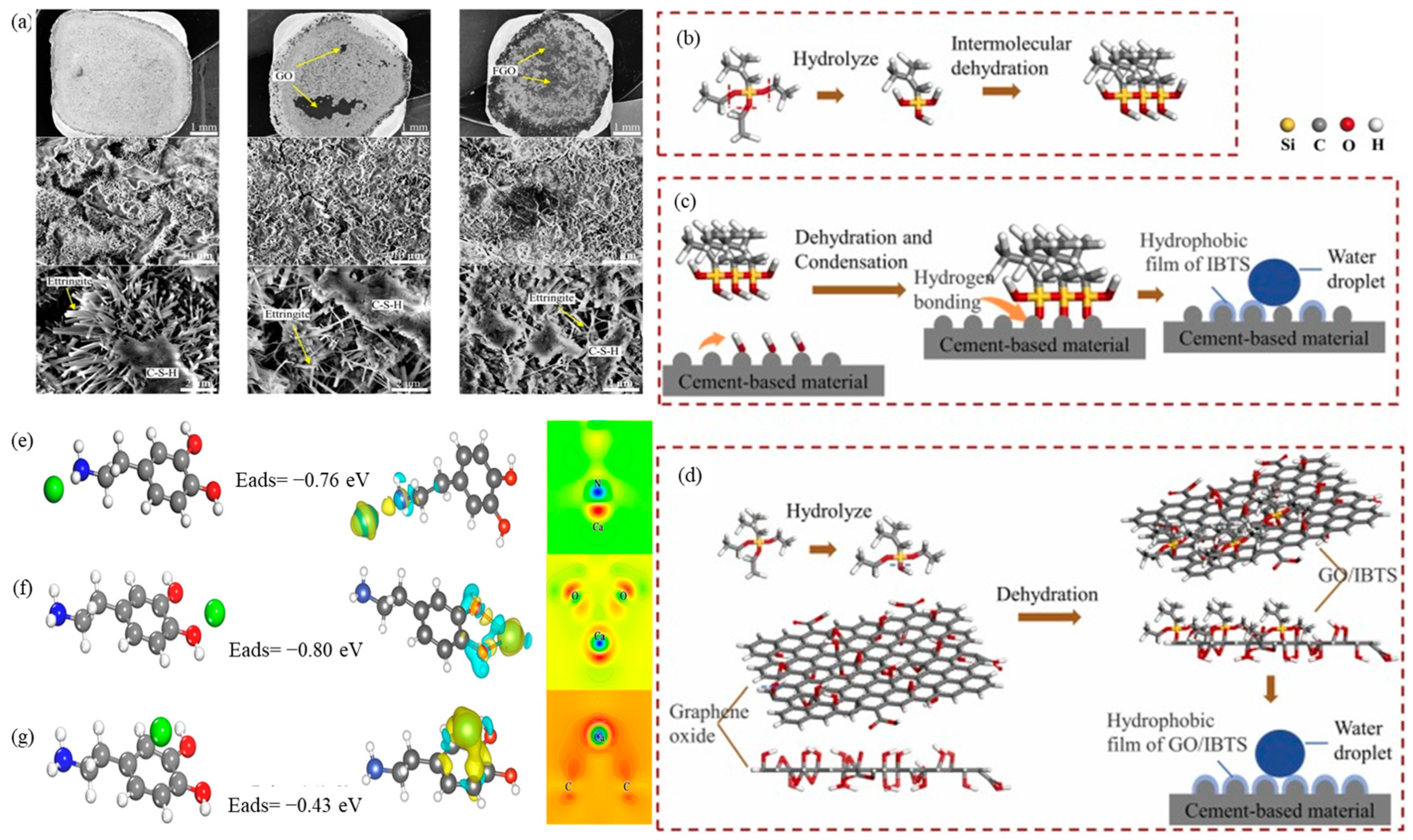 Ijms 24 10461 g007 Ijms 24 10461 g007