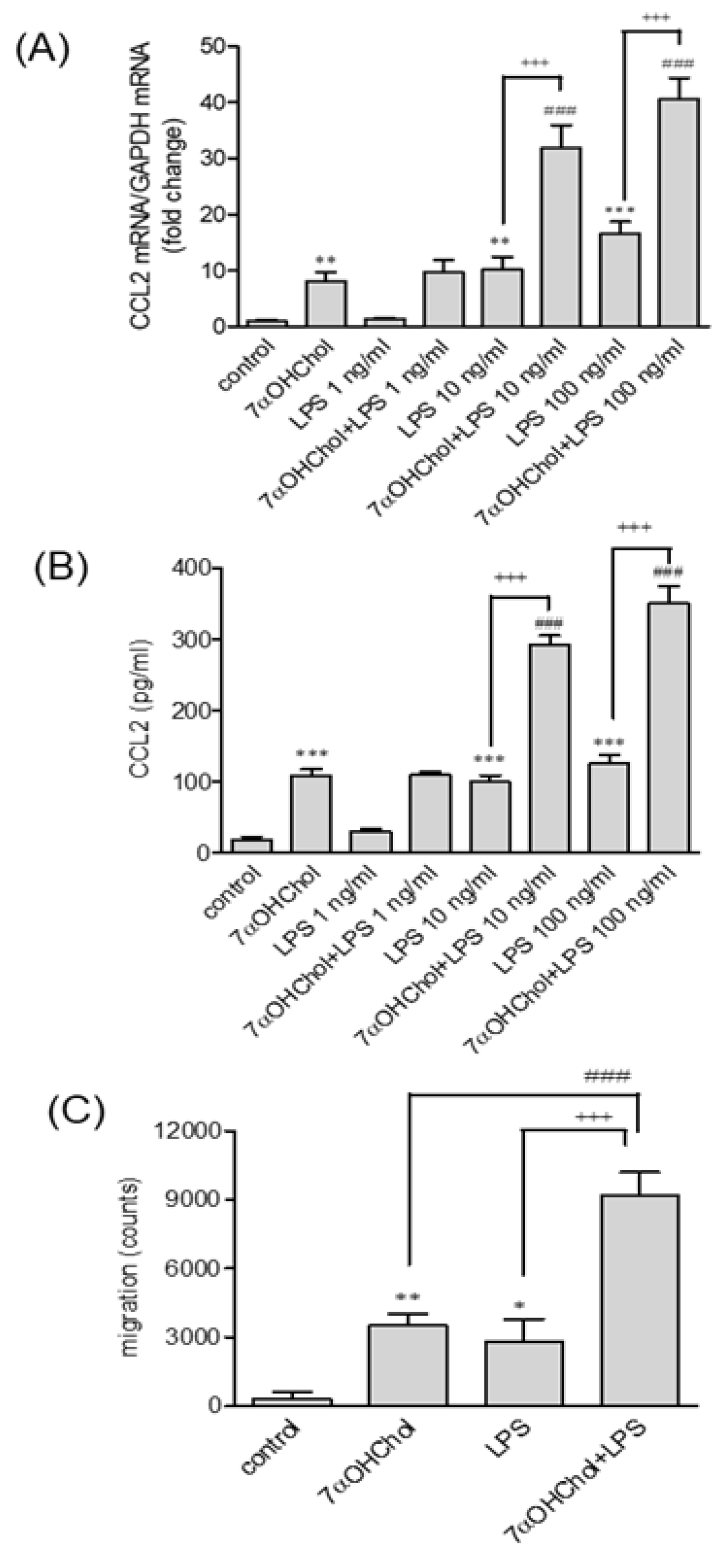 Ijms 24 10542 g003 Ijms 24 10542 g003