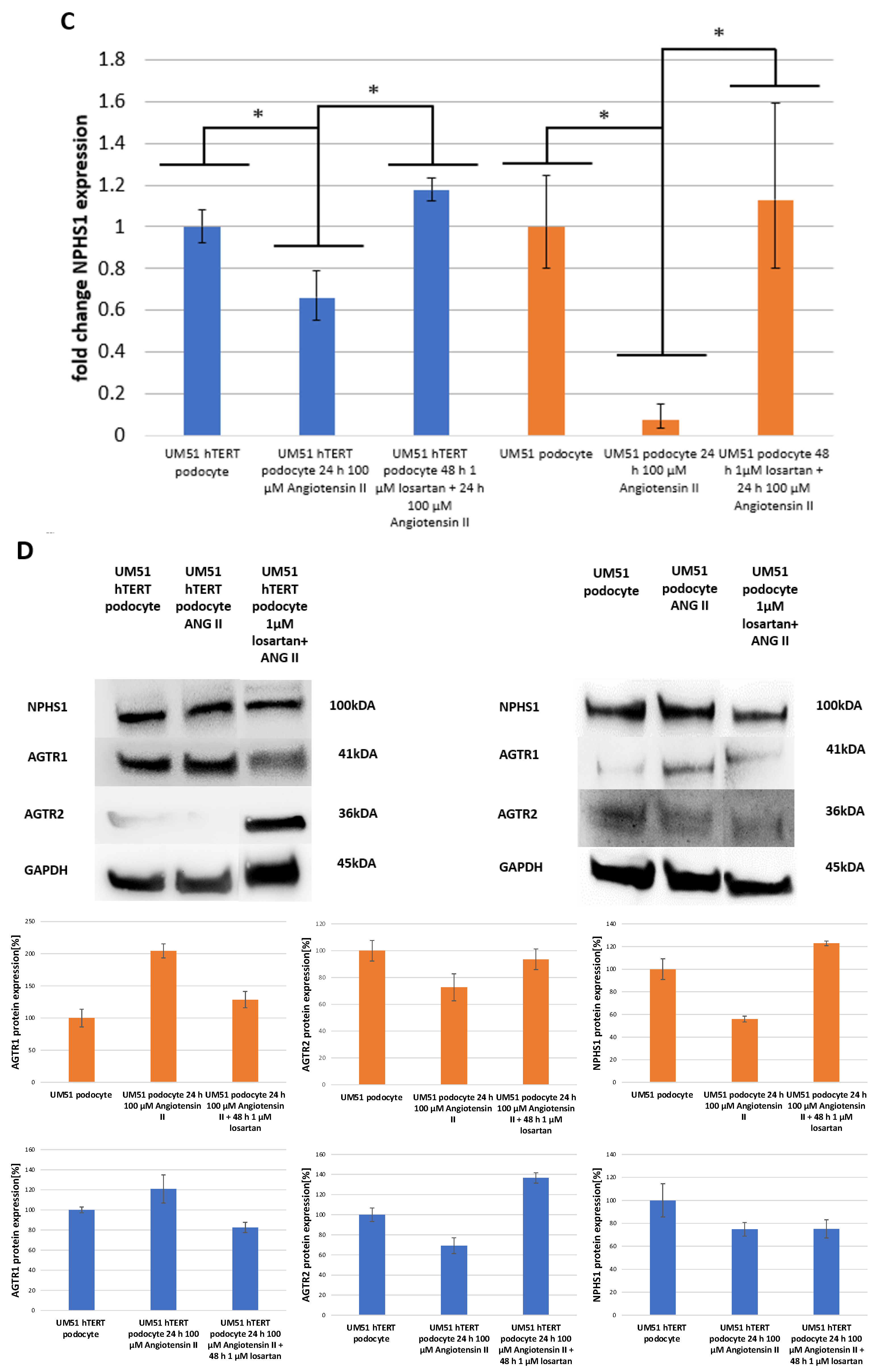 Ijms 24 10551 g002b Ijms 24 10551 g002b