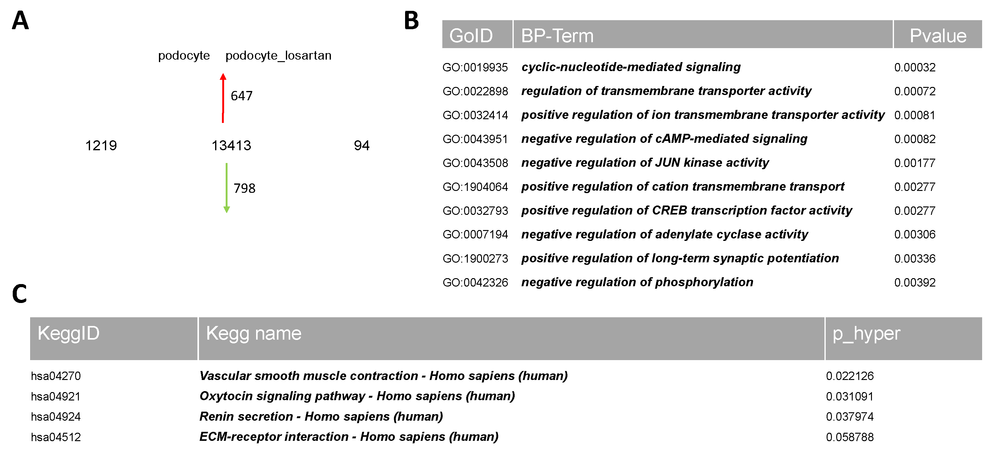 Ijms 24 10551 g003a Ijms 24 10551 g003a