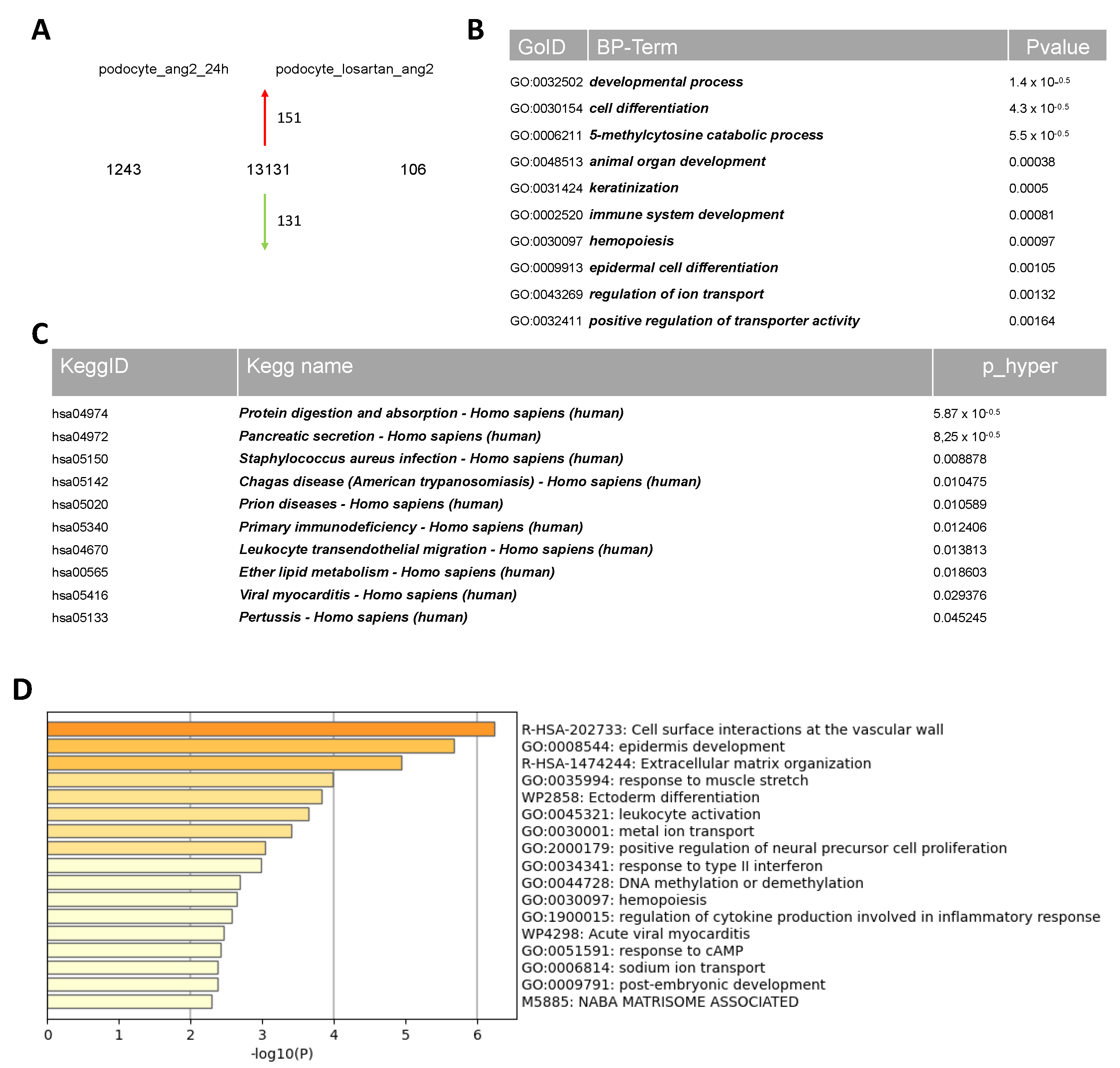 Ijms 24 10551 g004 Ijms 24 10551 g004