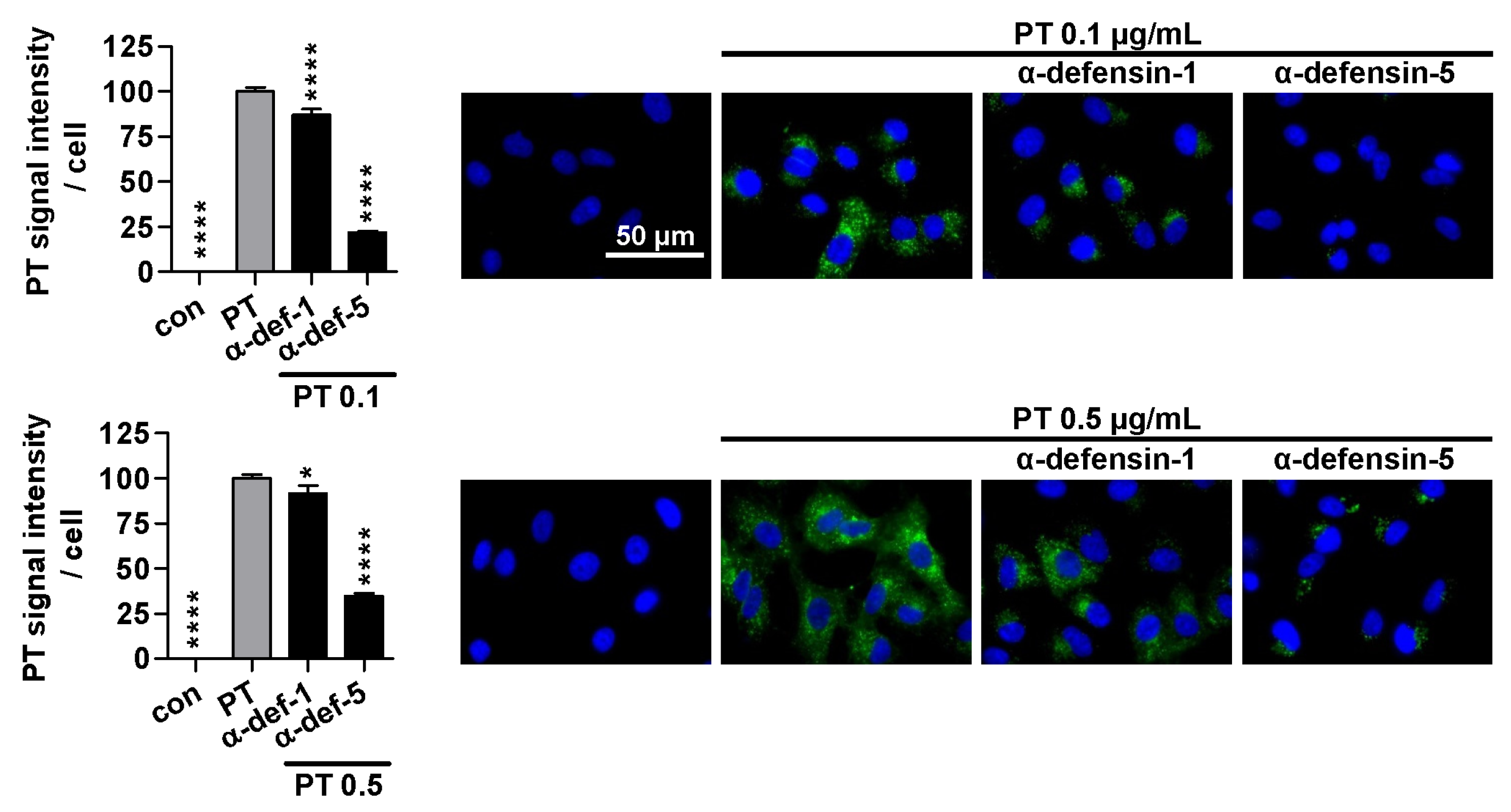 Ijms Free Full Text Inhibition Of Pertussis Toxin By Human α Defensins 1 And 5