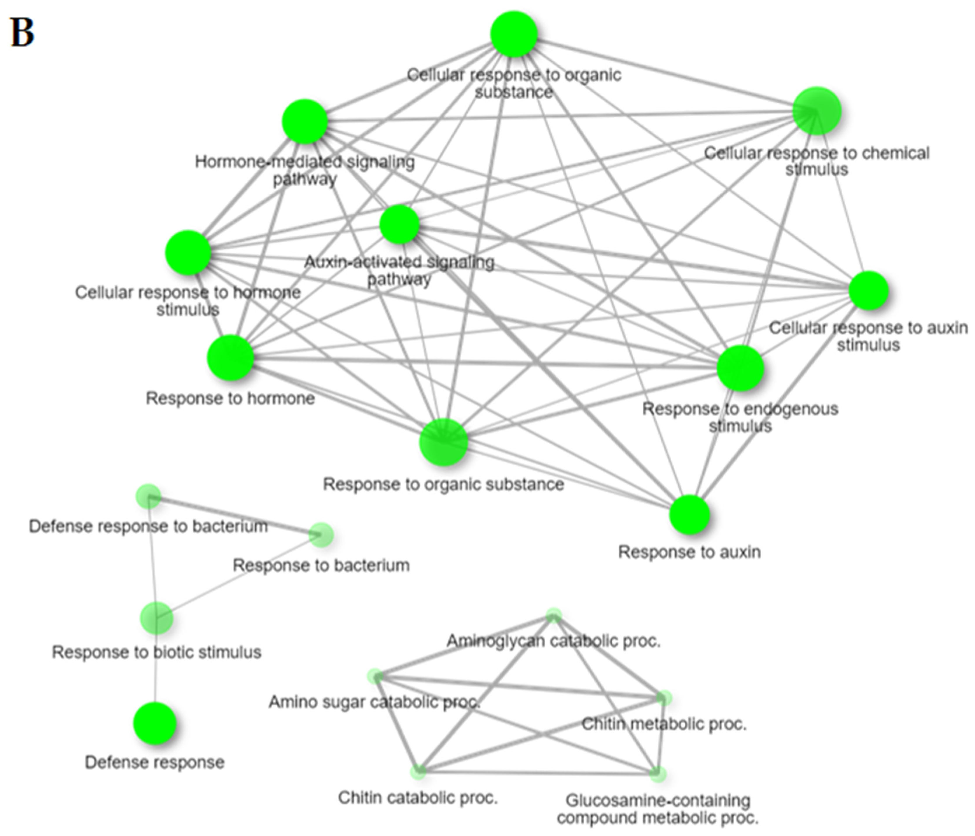 Ijms 24 10563 g003b Ijms 24 10563 g003b